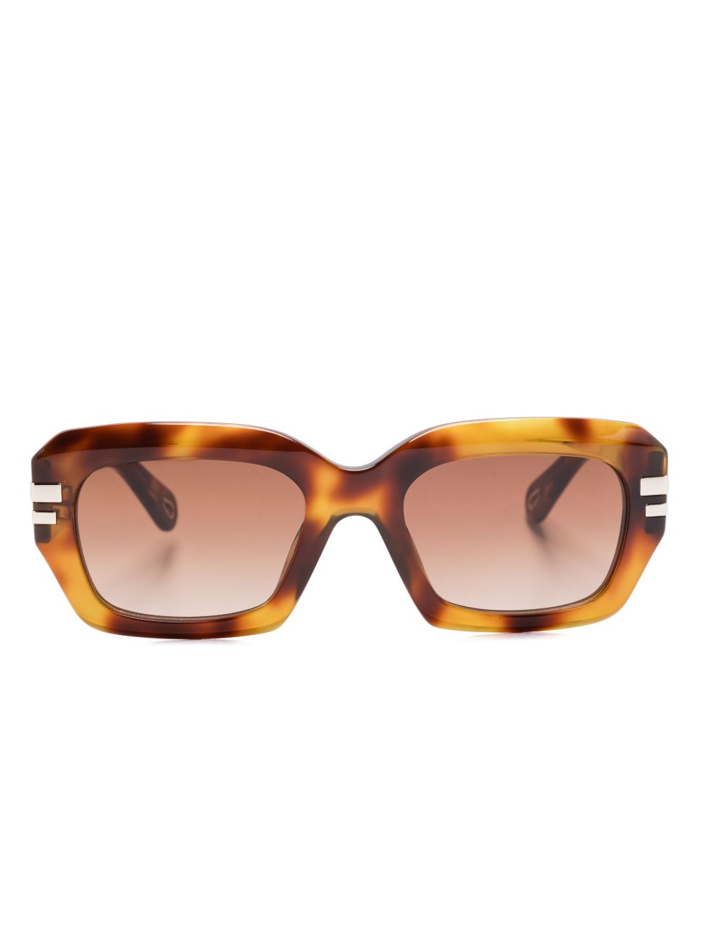 Chloé Eyewear CH0256S 太阳眼镜 - 褐色