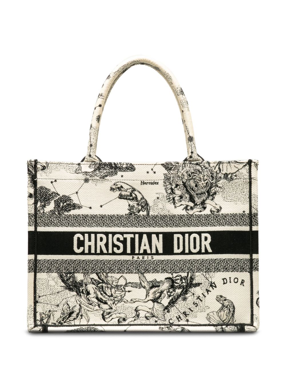 Christian Dior Pre-Owned Zodiac Book Tote 小号手提包（2022年典藏款） - 白色