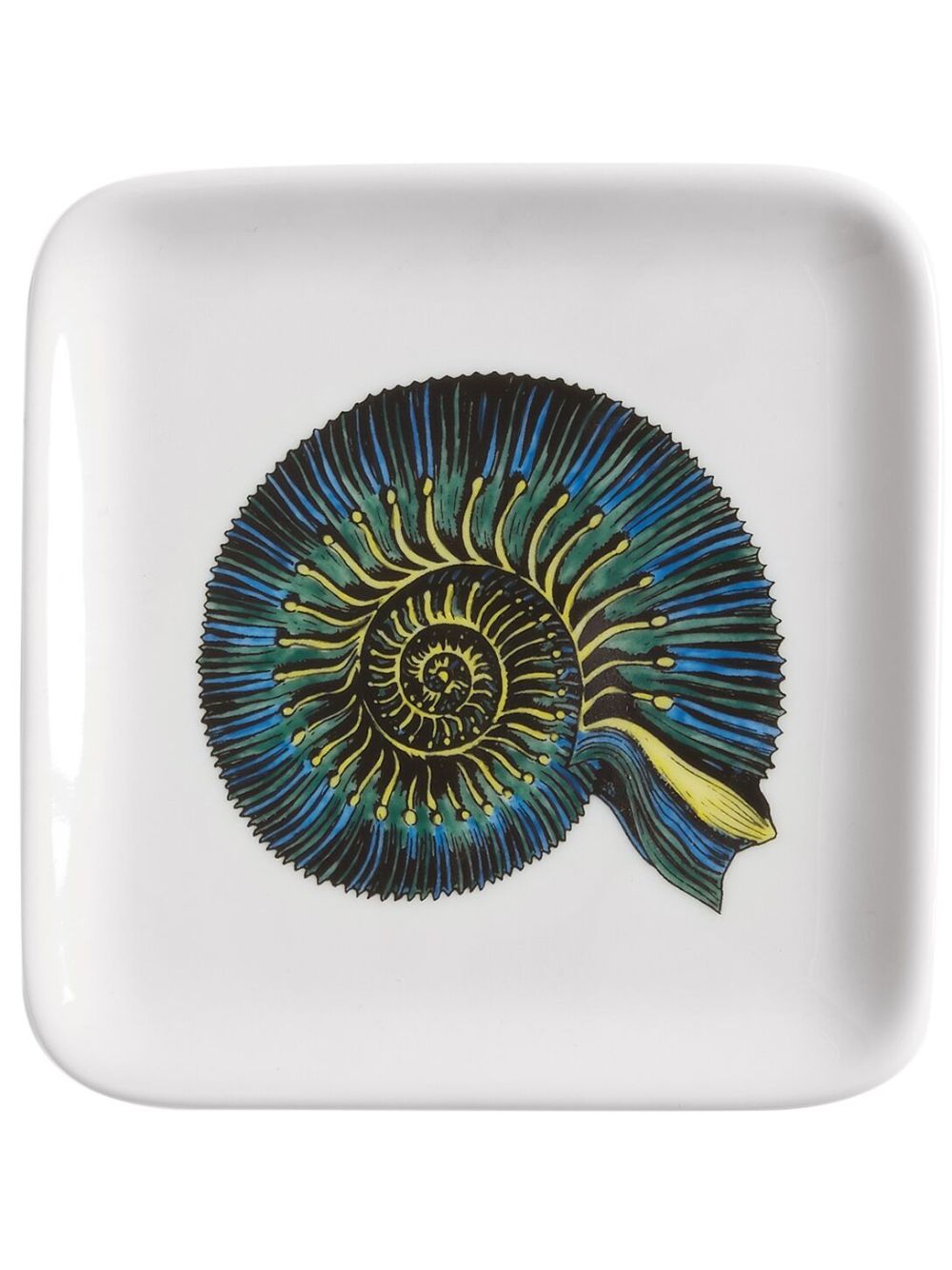 Fornasetti Conchiglia Fossile porcelain ashtray (12cm) - 白色