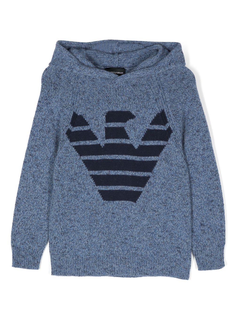 Emporio Armani Kids 老鹰嵌花连帽衫 - 蓝色