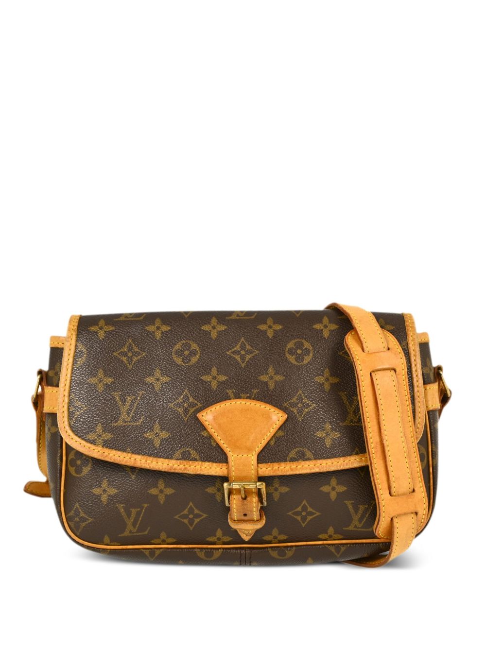 Louis Vuitton Pre-Owned Sologne 单肩包（2002年典藏款） - 褐色