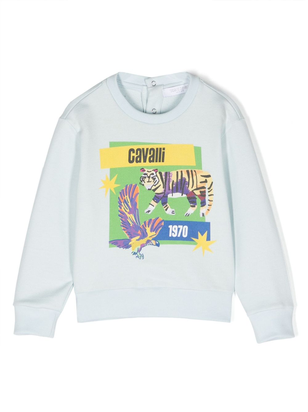 Roberto Cavalli Junior 图案印花棉卫衣 - 蓝色