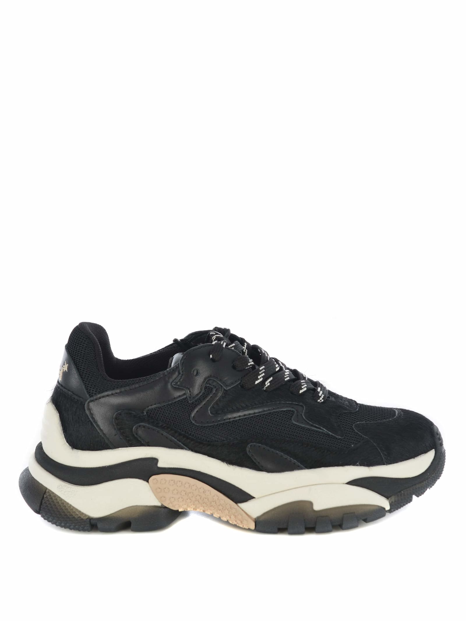Sneakers Ash addict05 Made Of Leathert