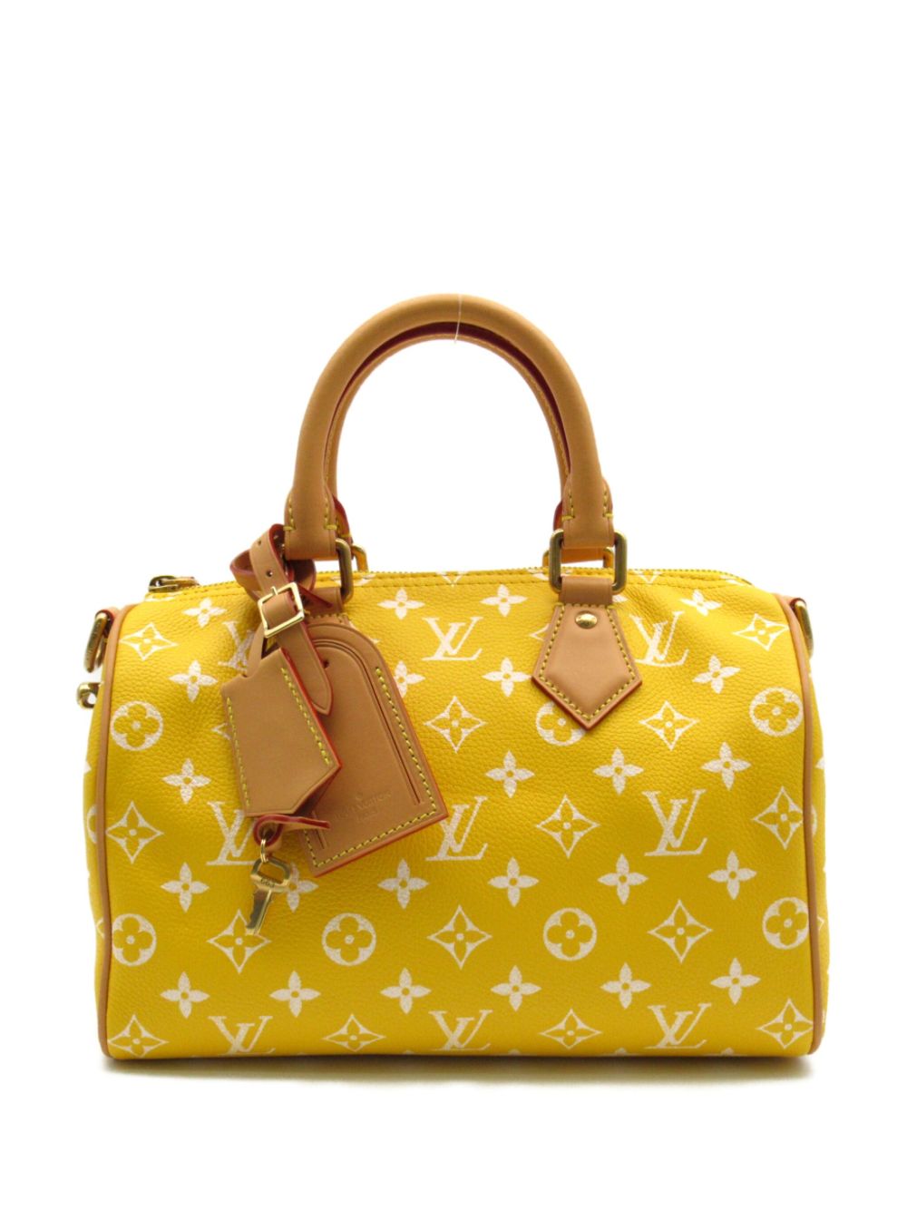 Louis Vuitton Pre-Owned Speedy 25 Bandoulière 两用手提包（2021年典藏款） - 黄色