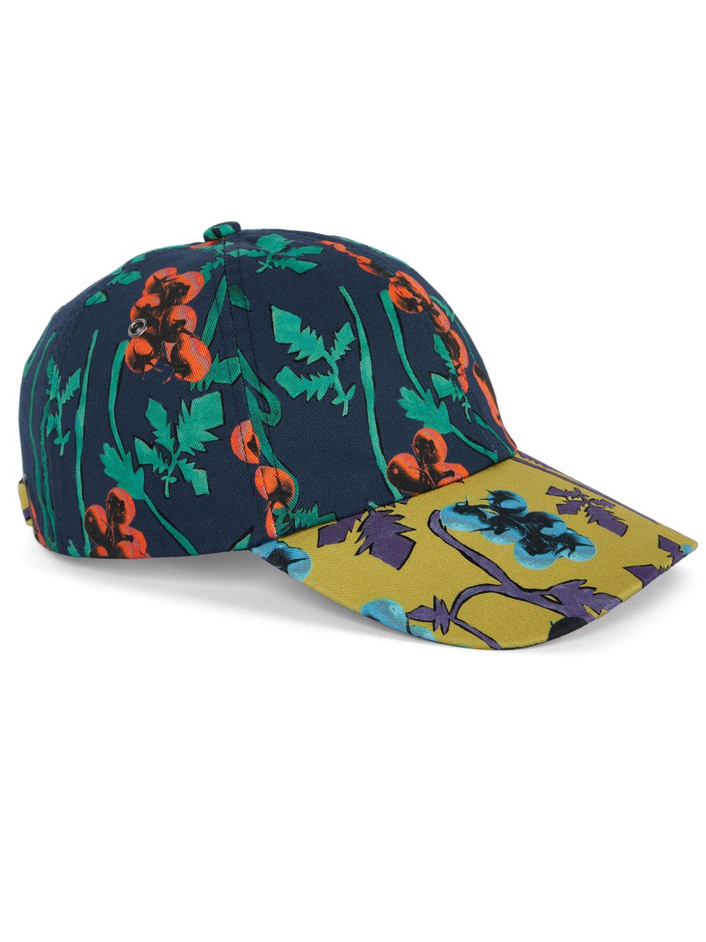 PS Paul Smith Tomato Vine 棒球帽 - 蓝色