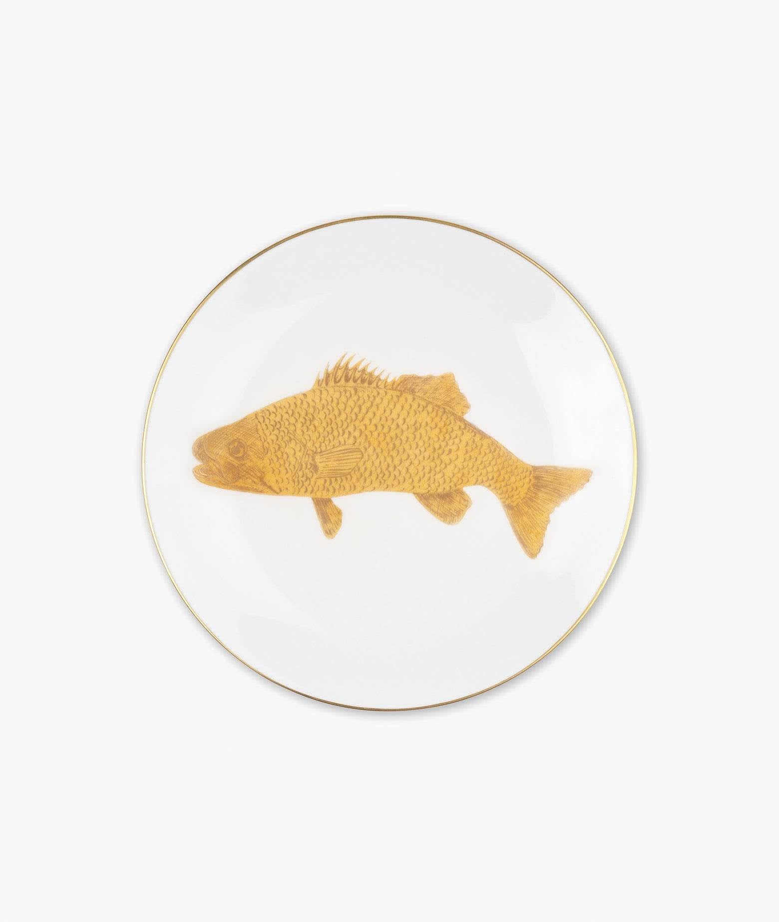 Larusmiani Plate cyprinus Carpio