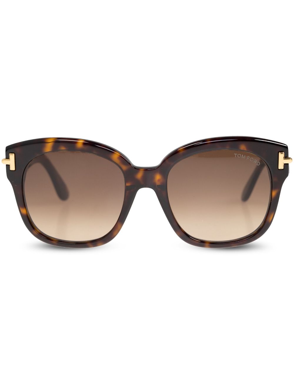 TOM FORD Eyewear Icon 太阳眼镜 - 褐色
