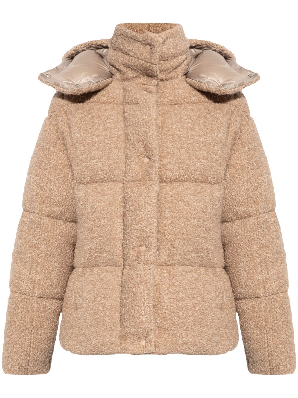 Moncler Paranas 夹克 - 褐色
