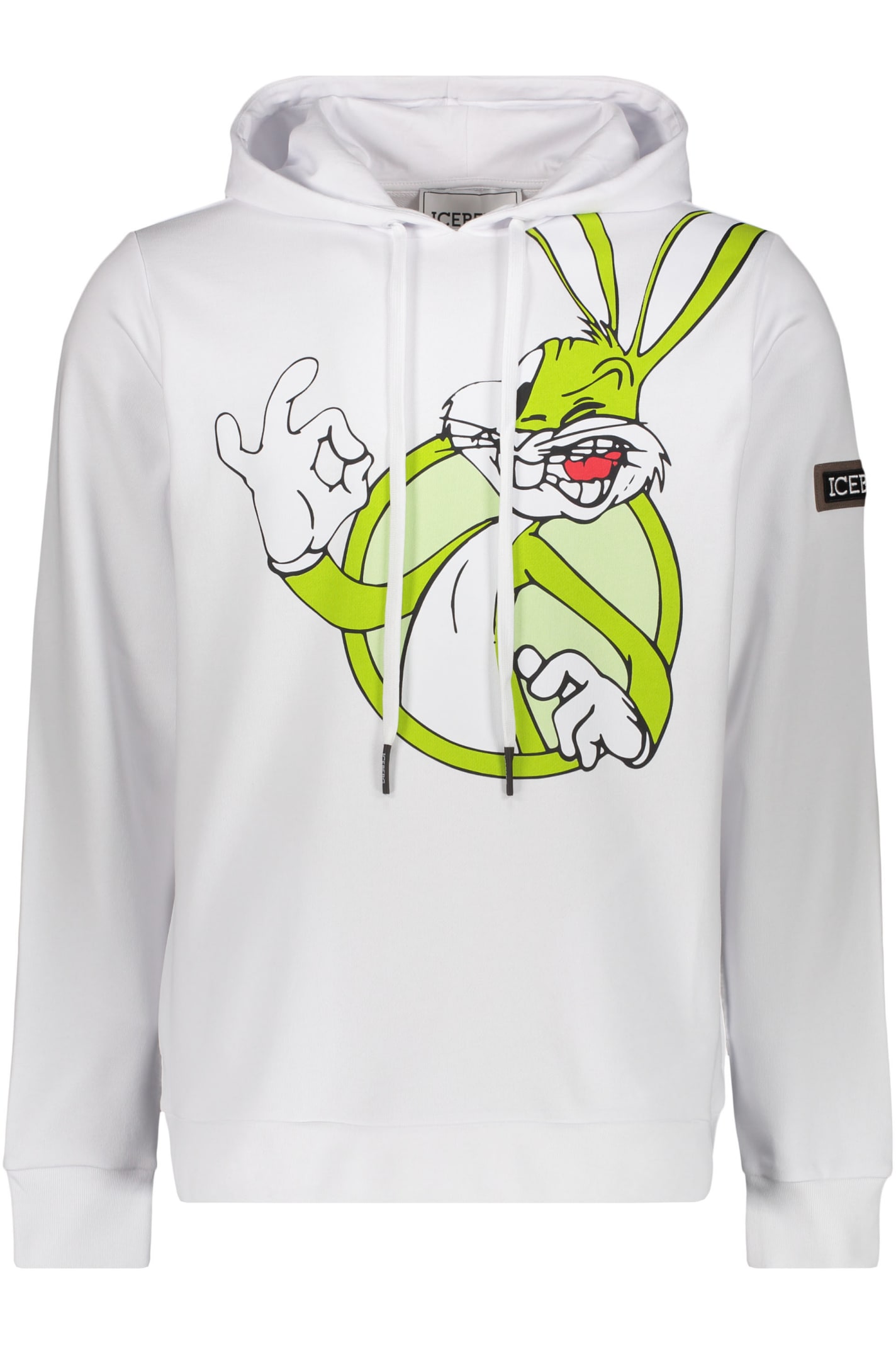 Iceberg Printed Hoodie