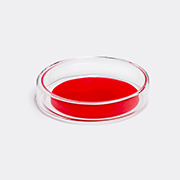 Hay 'bits And Bobs Dot', Medium -   Red 12
