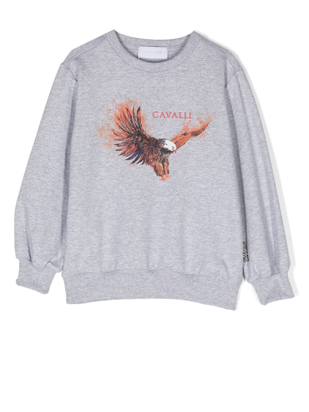 Roberto Cavalli Junior 图案印花棉卫衣 - 灰色