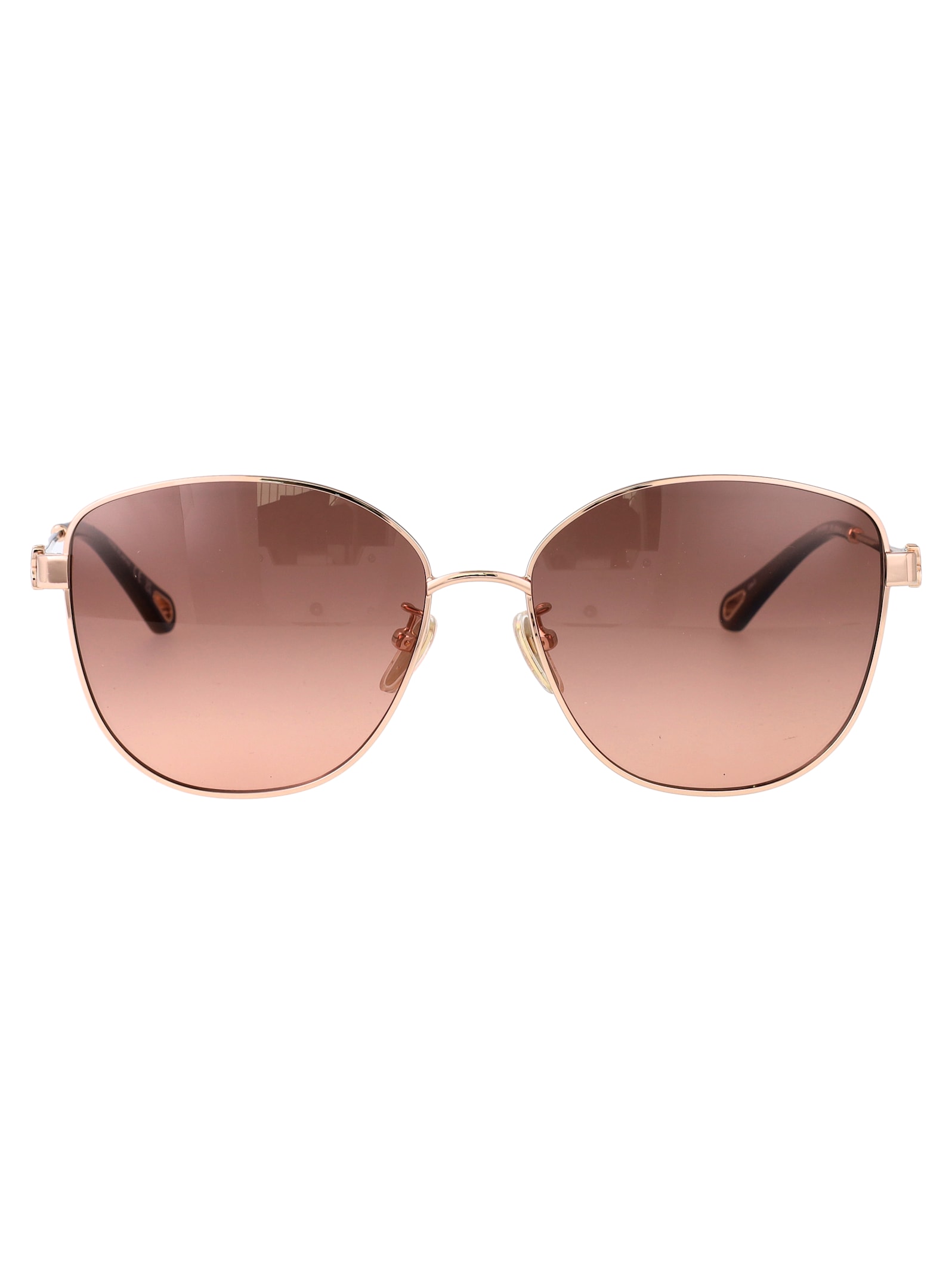 Chloé Eyewear Ch0306sk Sunglasses