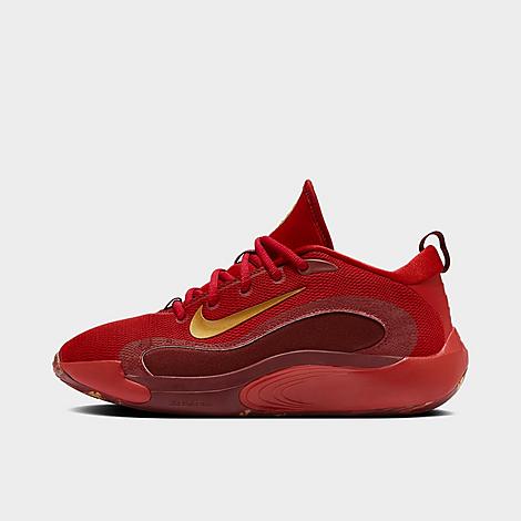 Big Kids' Nike IsoFly Basketball Shoes