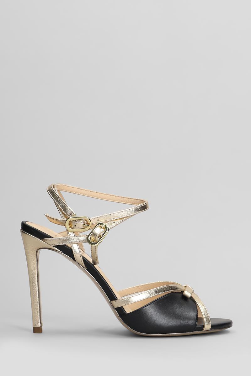 Gold & Rouge Bolly Sandals