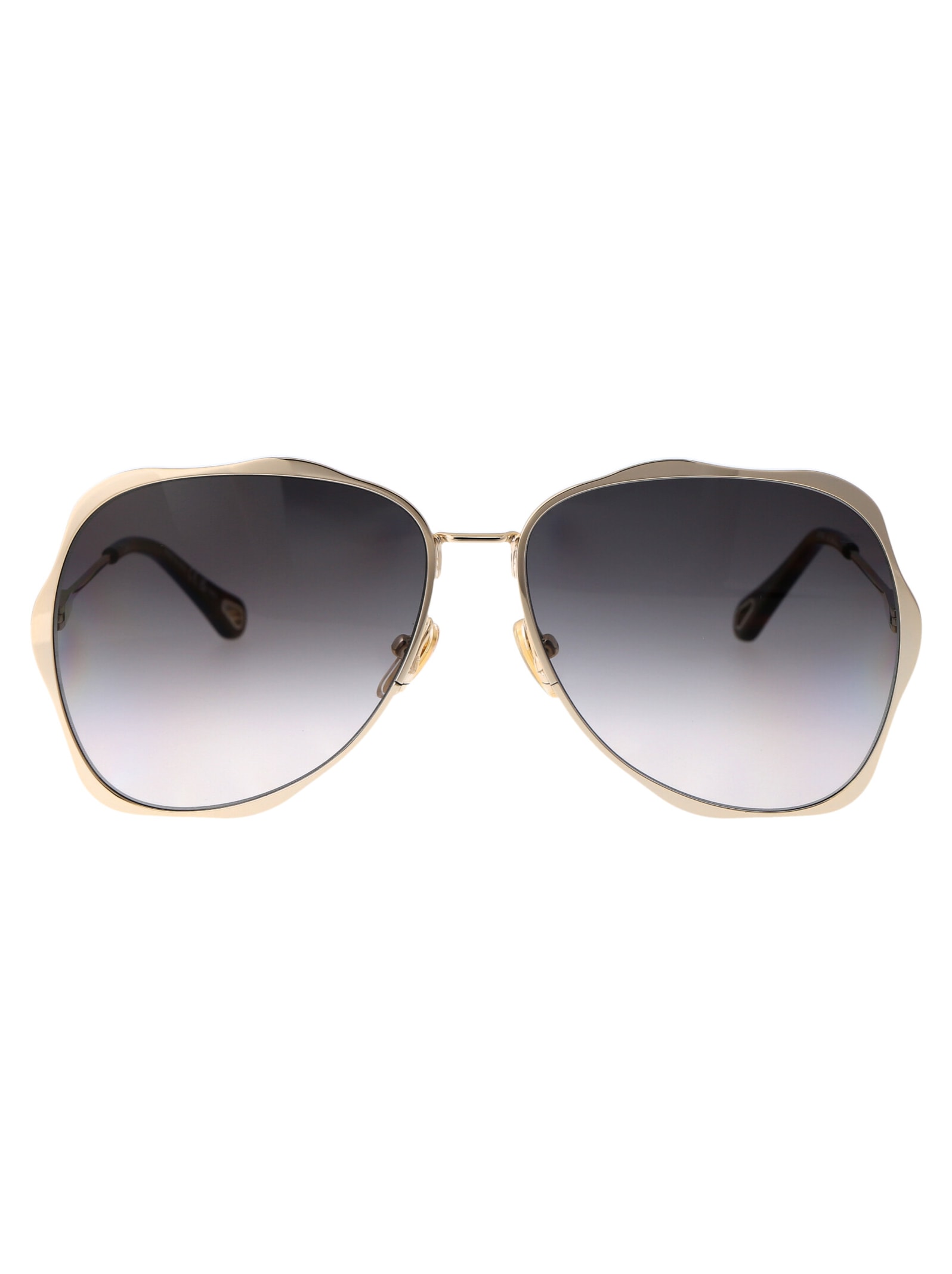 Chloé Eyewear Ch0183s Sunglasses