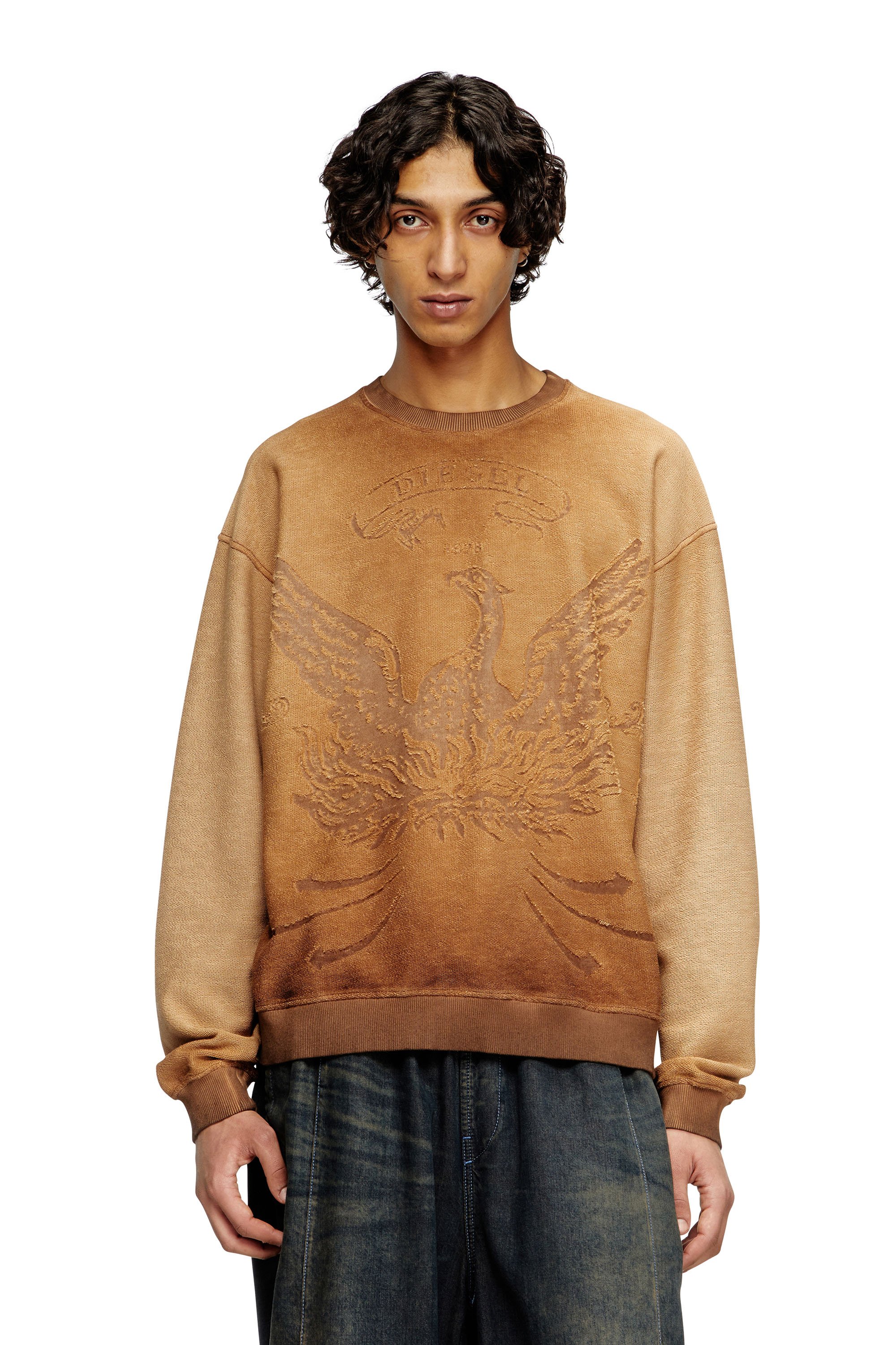 Diesel - Faded sweatshirt with devoré Phoenix logo - Sweaters - Man - Brown
