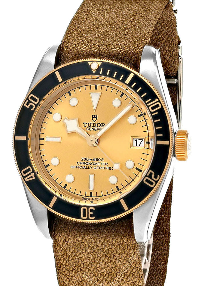 TUDOR Black Bay S & G 41MM Champagne Dial Men's Watch M79733N-0006