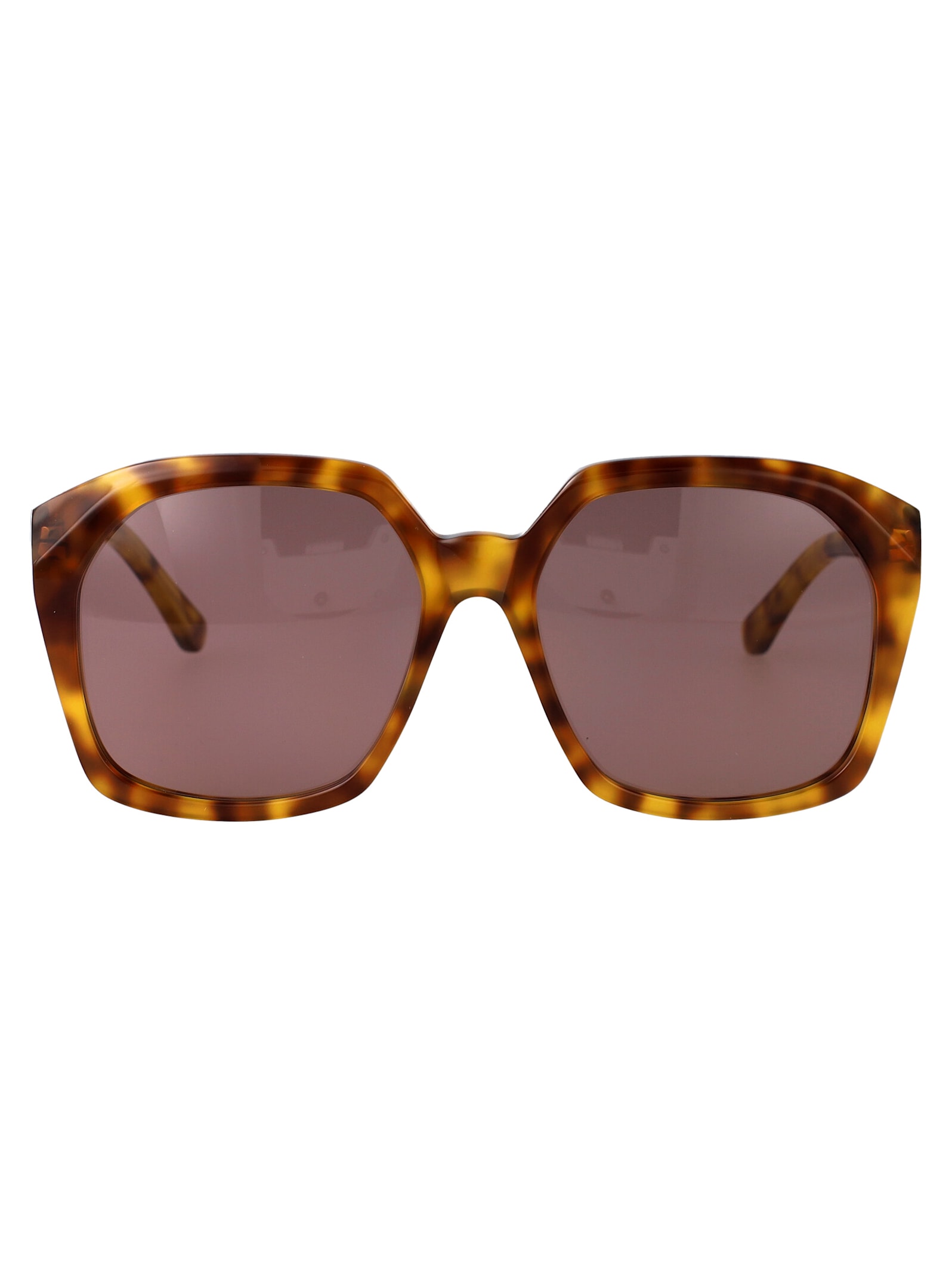 Chloé Eyewear Ch0280s 太阳镜