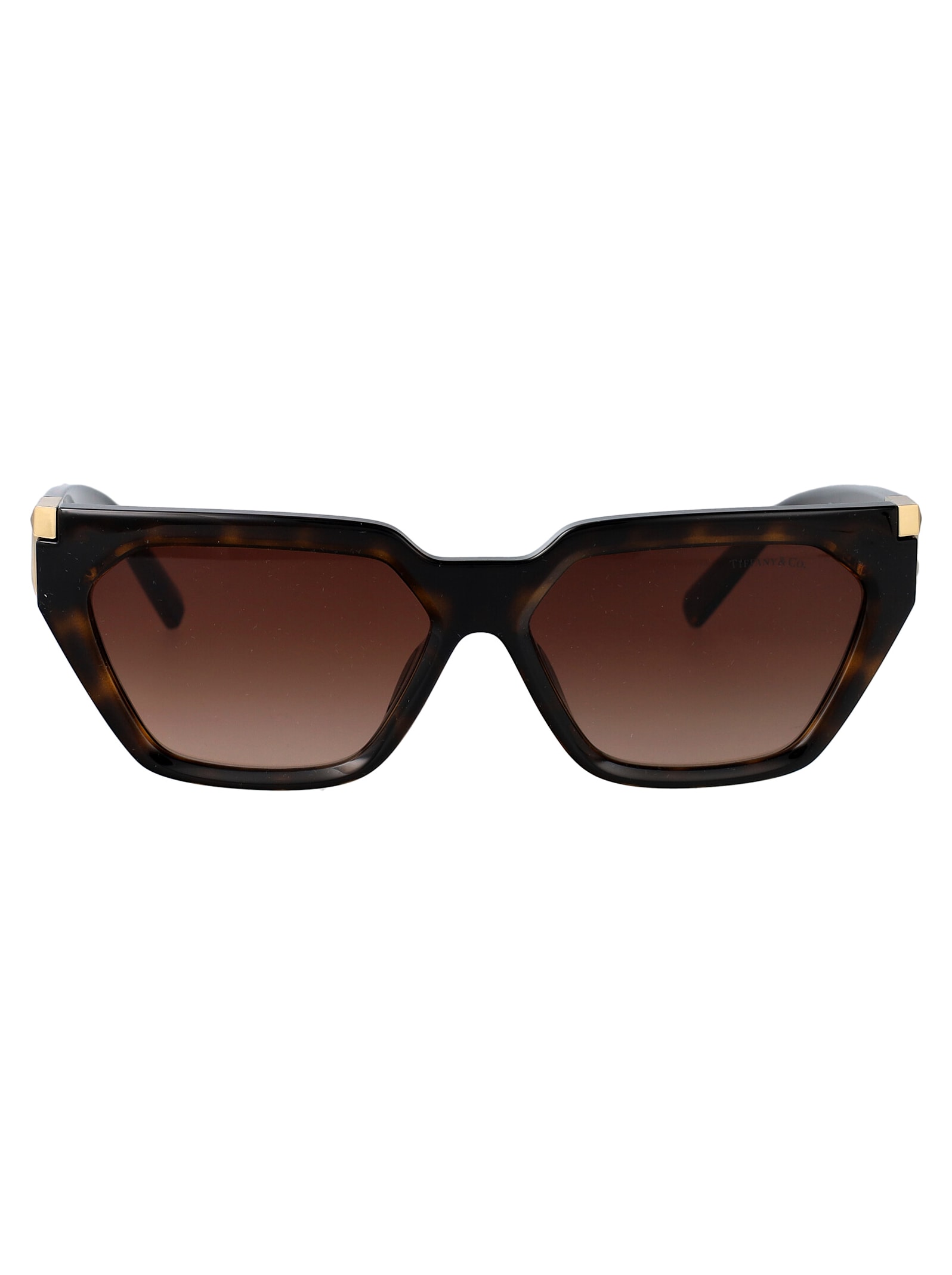 Tiffany & Co. 0tf4205u 太阳镜