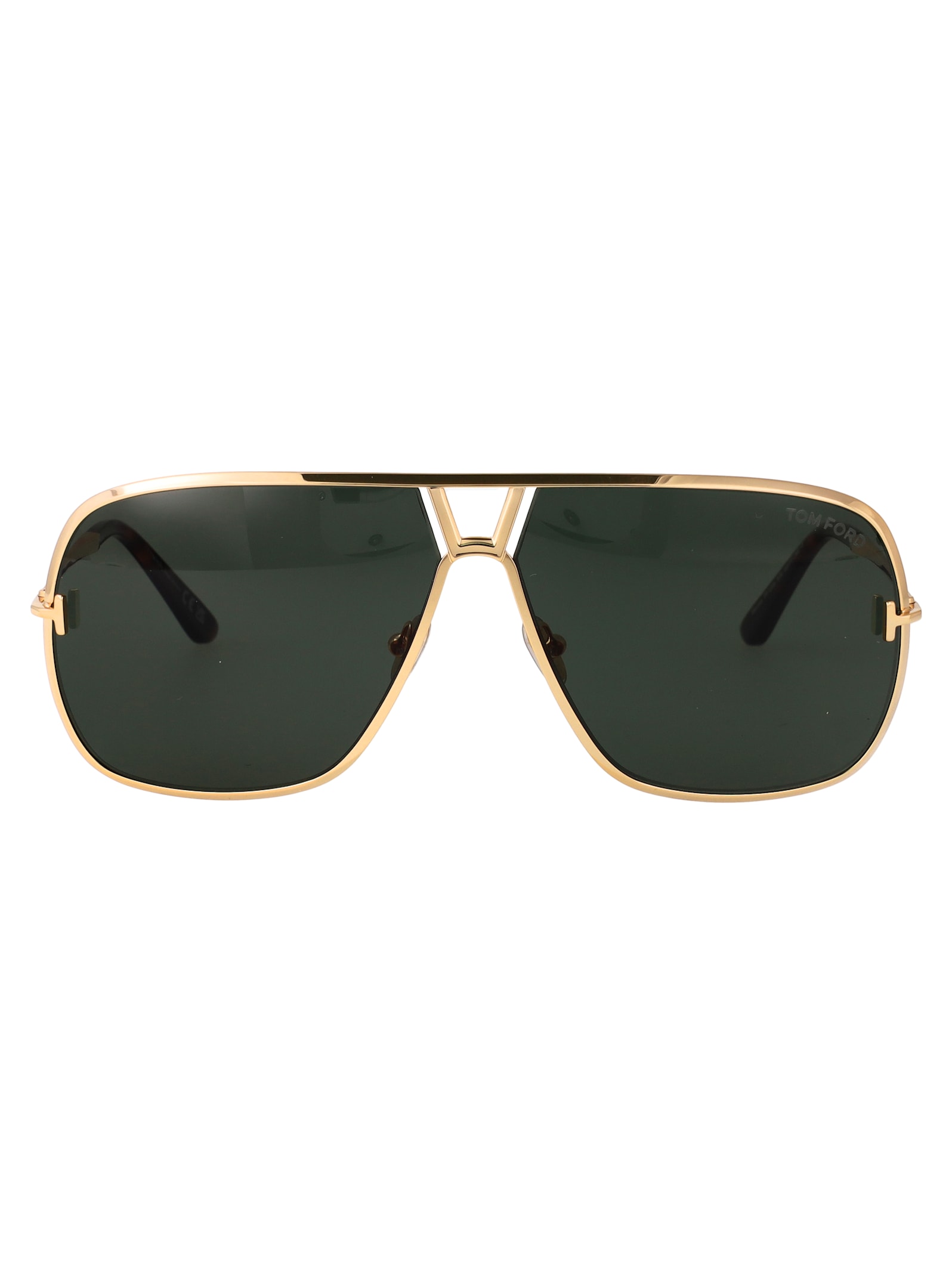 Tom Ford Eyewear Stavros Sunglasses