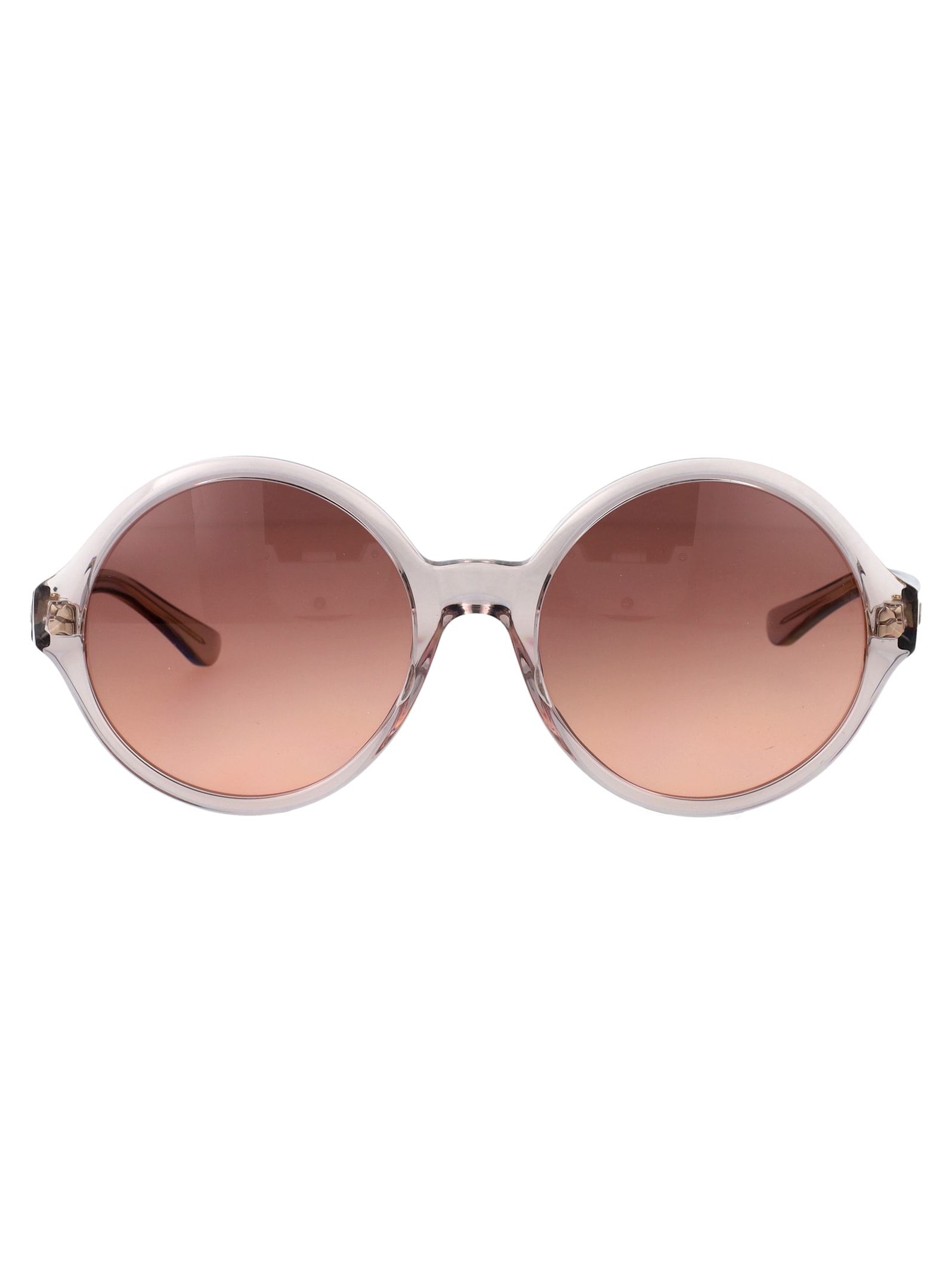 Chloé Eyewear Ch0290s Sunglasses