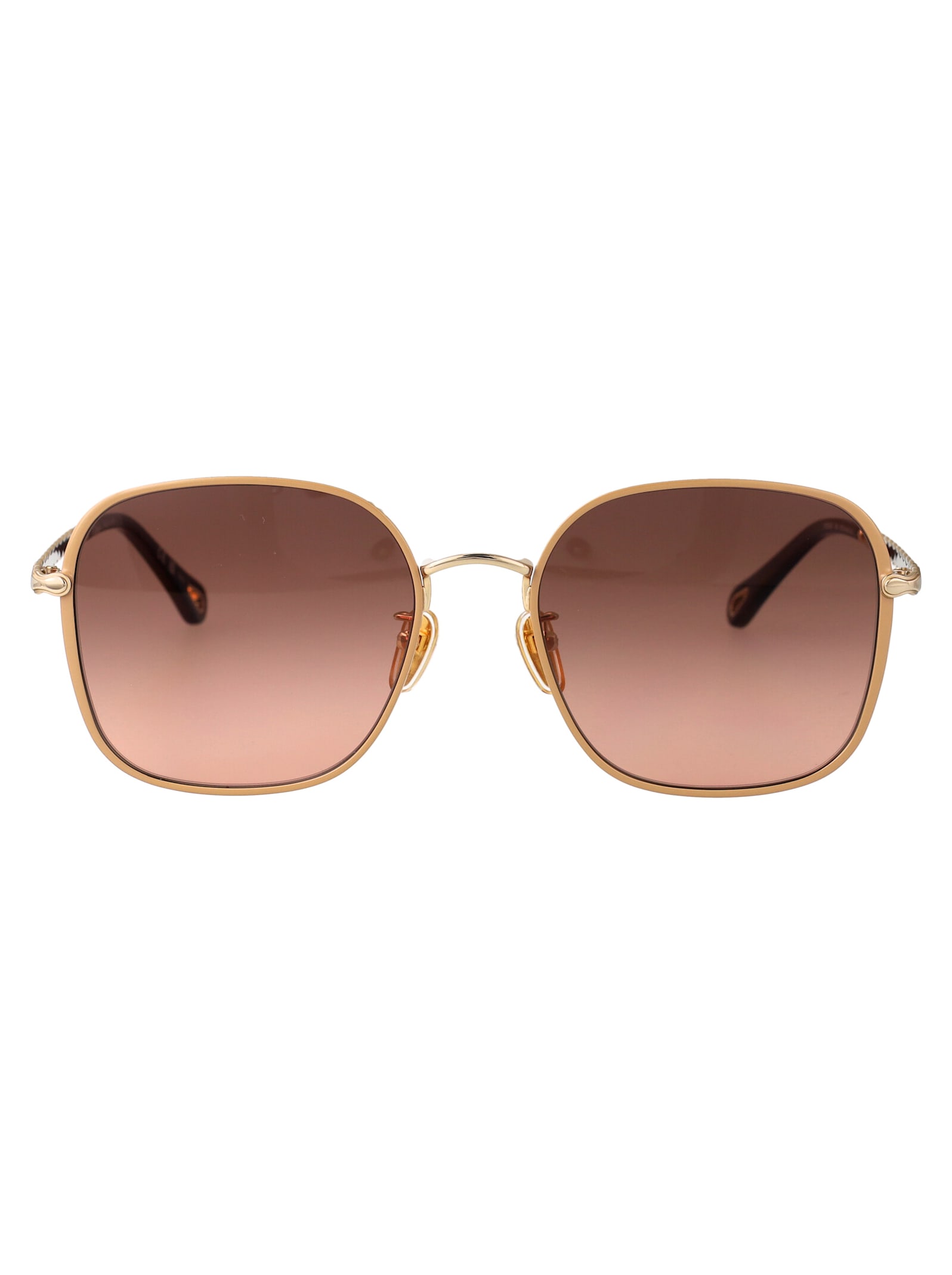Chloé Eyewear Ch0255sk Sunglasses