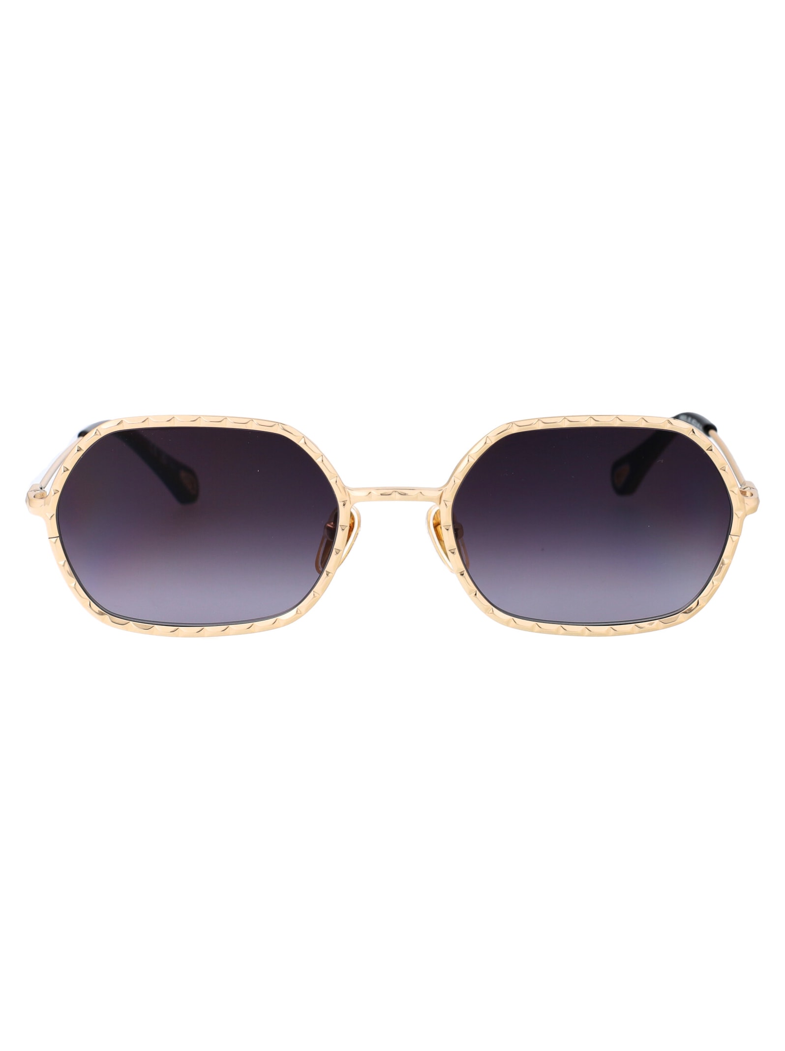 Chloé Eyewear Ch0231s Sunglasses