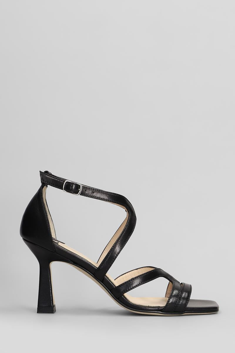 Anna F. Sandals