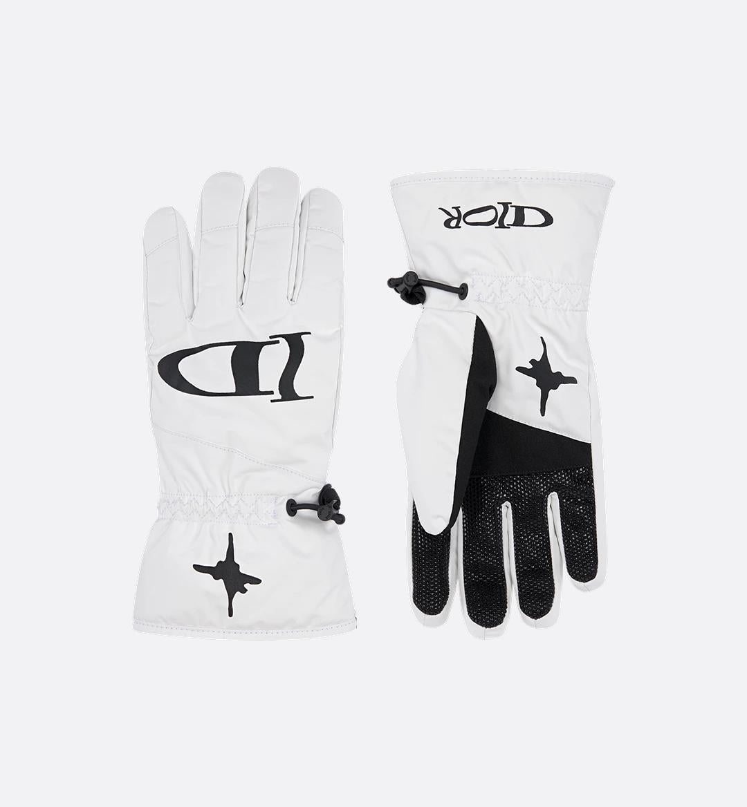 Dior Ski "Dior And Lewis Hamilton" Ski Gloves
