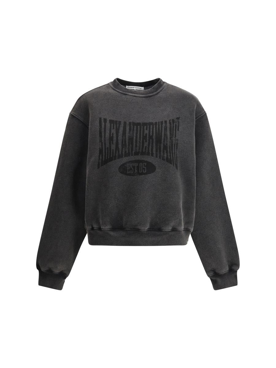 Alexander Wang 卫衣