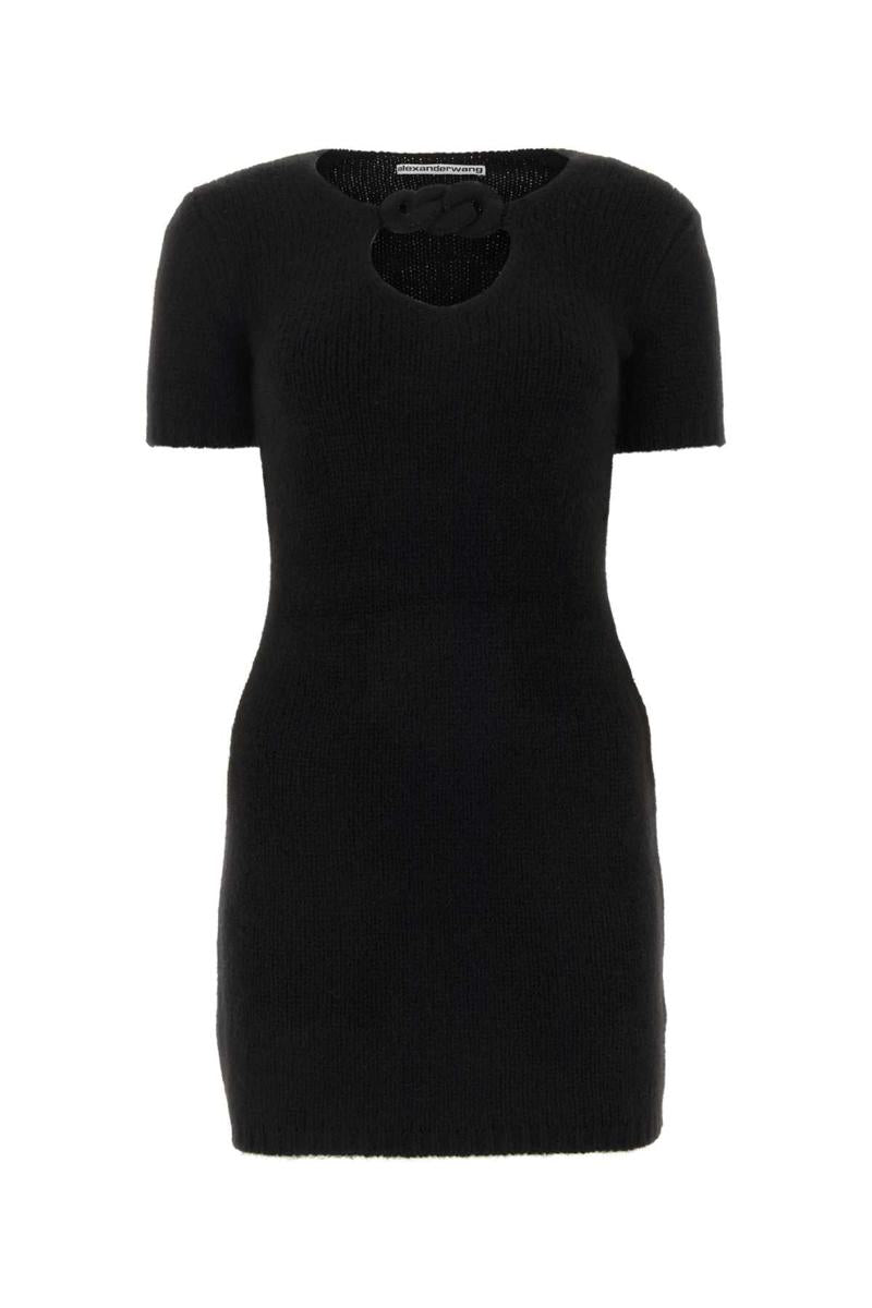 Alexander Wang Dress