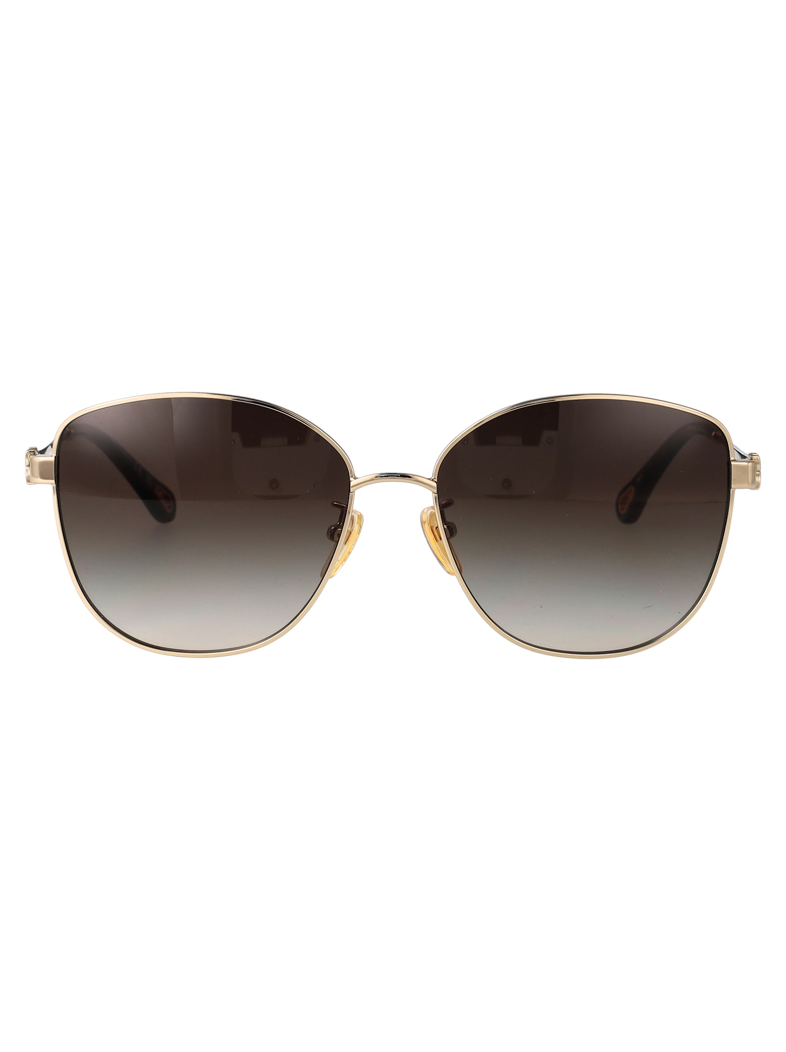 Chloé Eyewear Ch0306sk Sunglasses