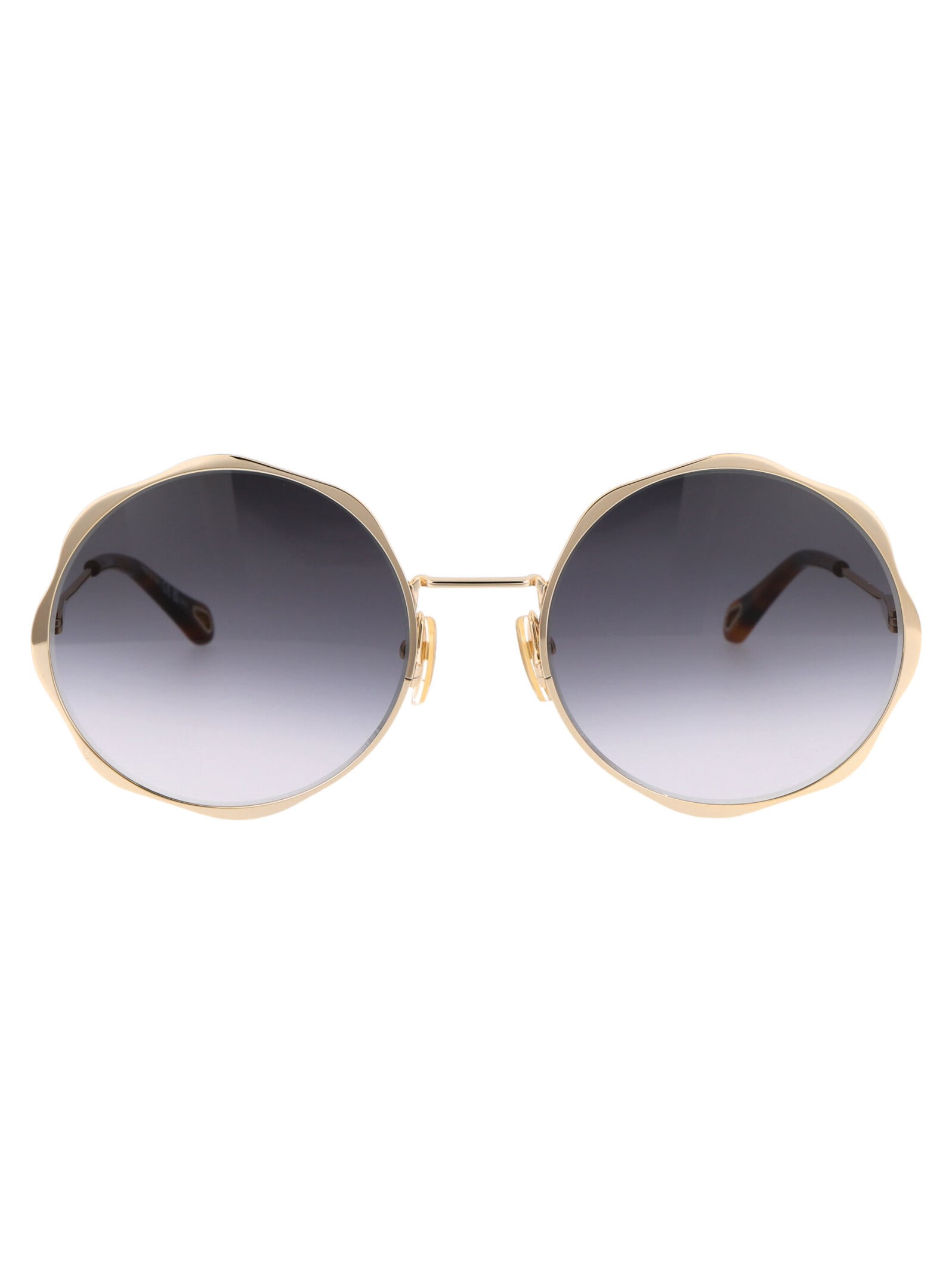 Chloé Eyewear Ch0184s Sunglasses