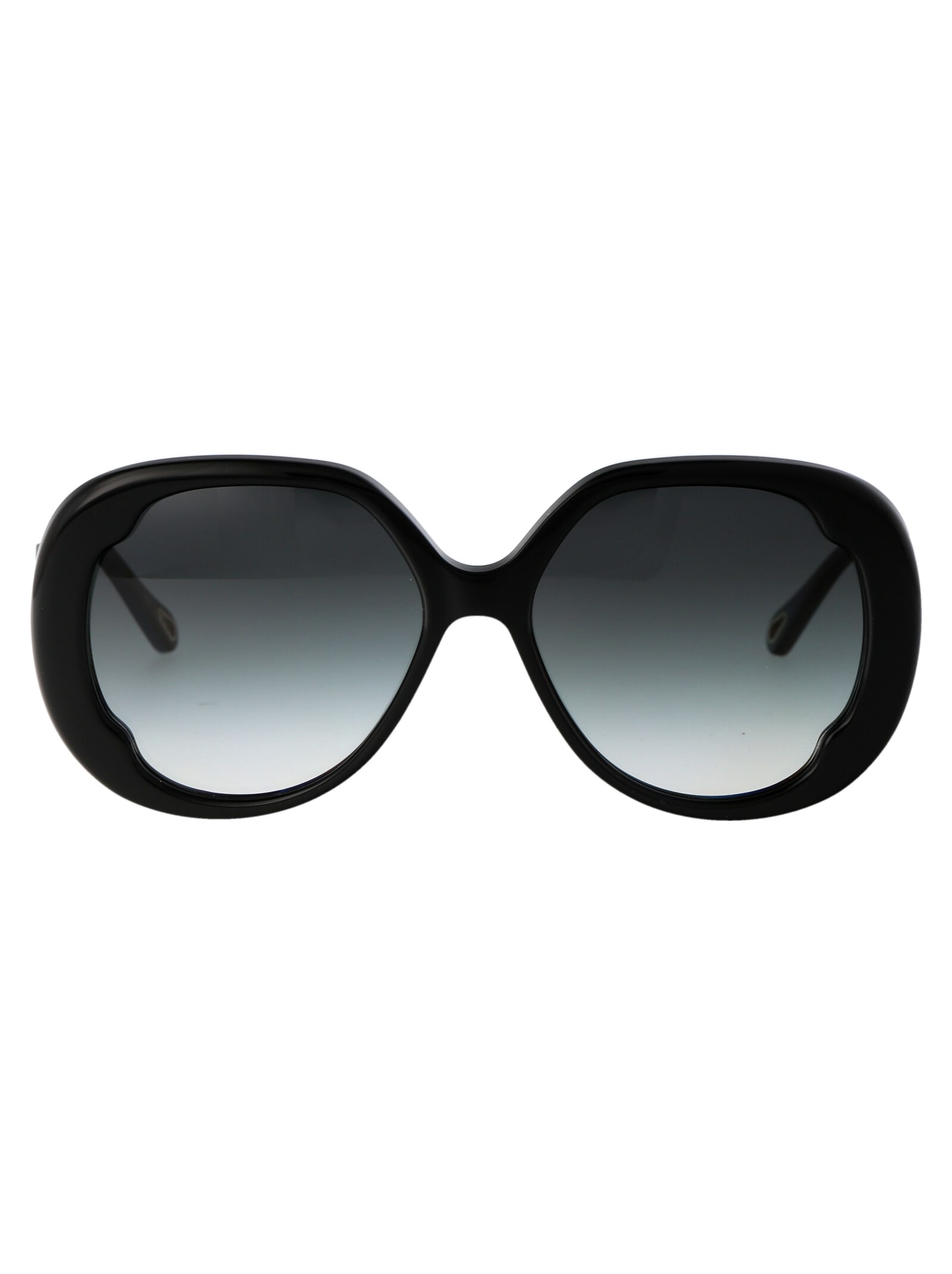 Chloé Eyewear Ch0195s Sunglasses