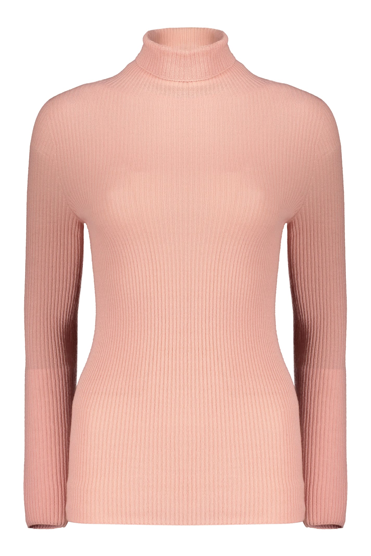 Fabiana Filippi Long Sleeve Turtleneck