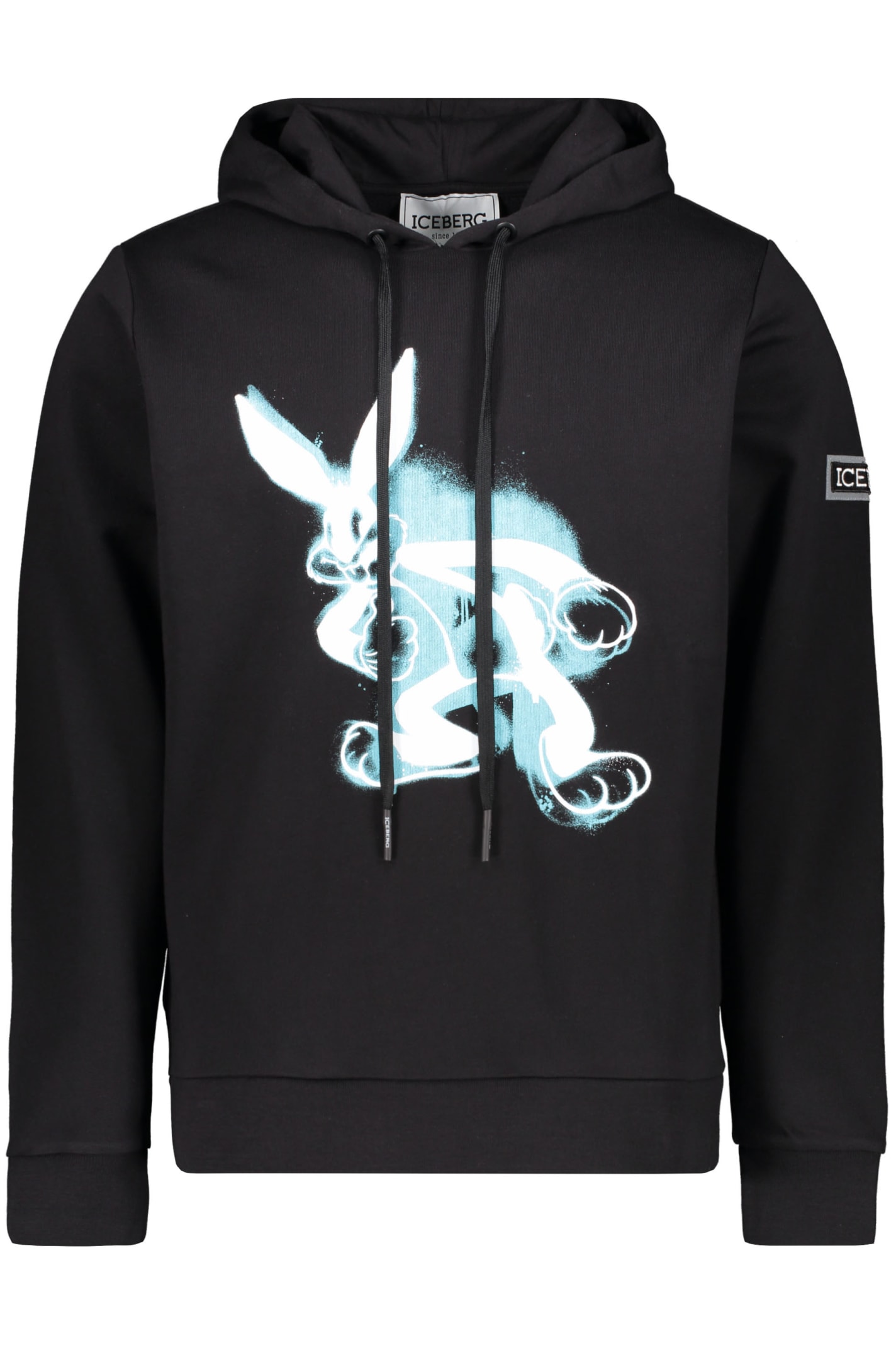 Iceberg Printed Hoodie