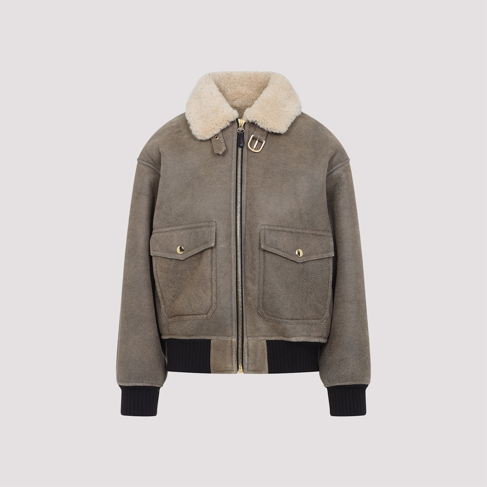 Celine Aviateur Brode Blouson