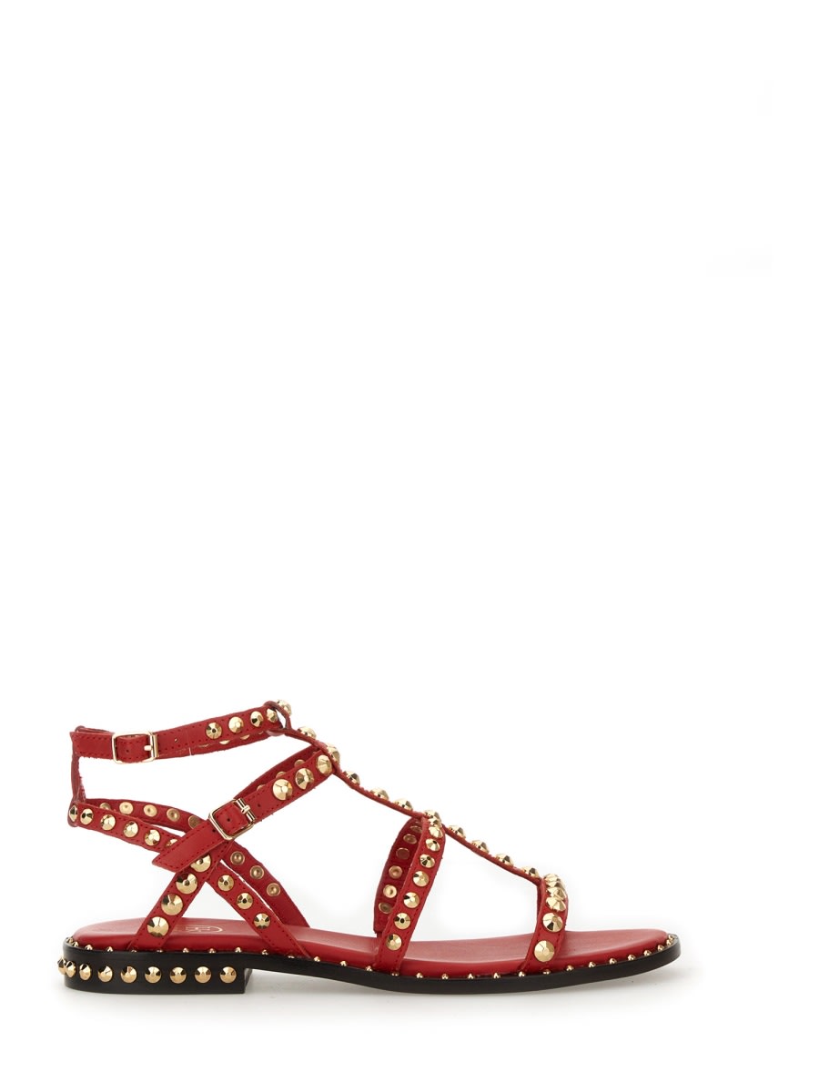Ash Sandal precious