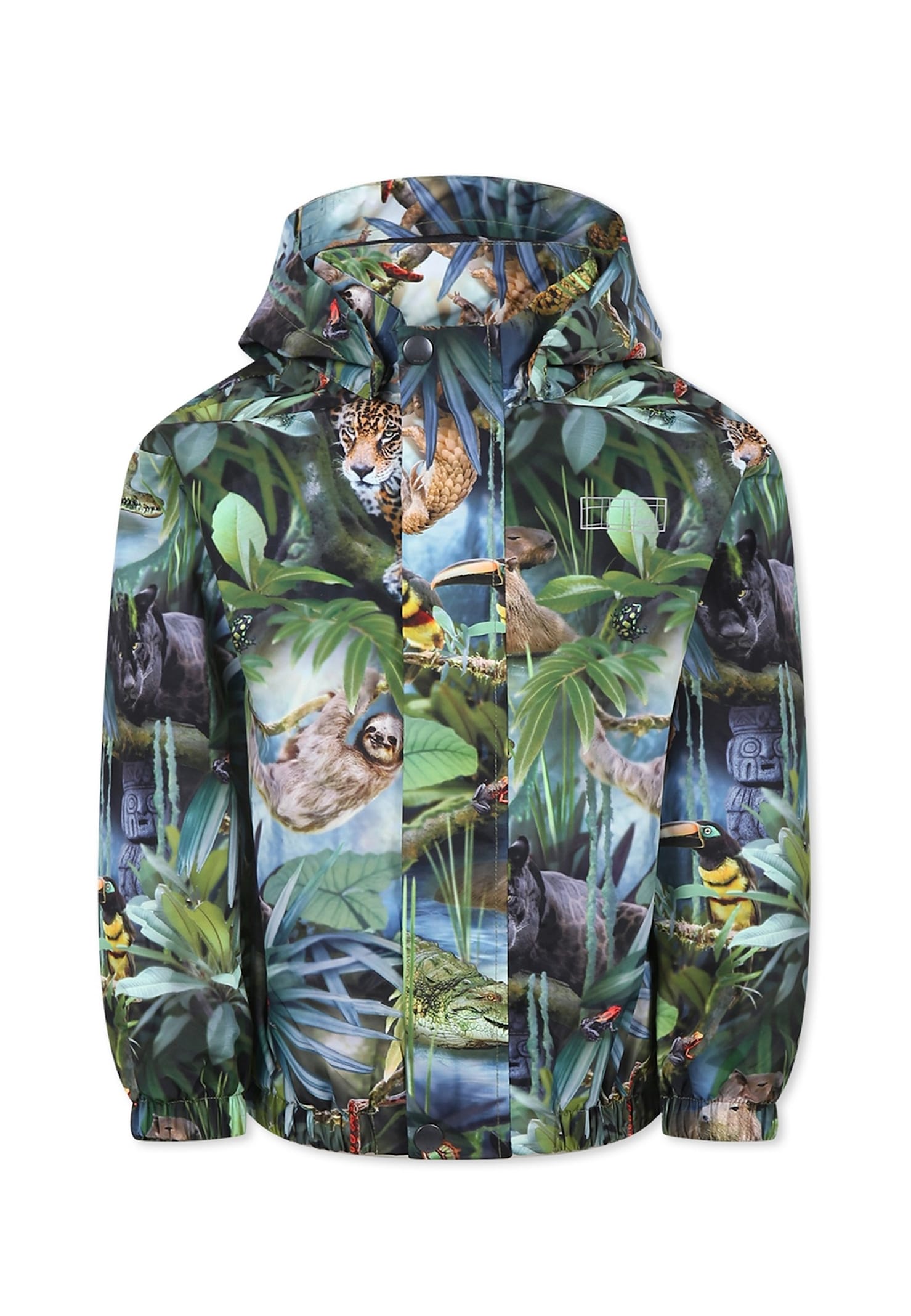 Molo Geen Windbreaker Jacket For Kids With Jungle Print