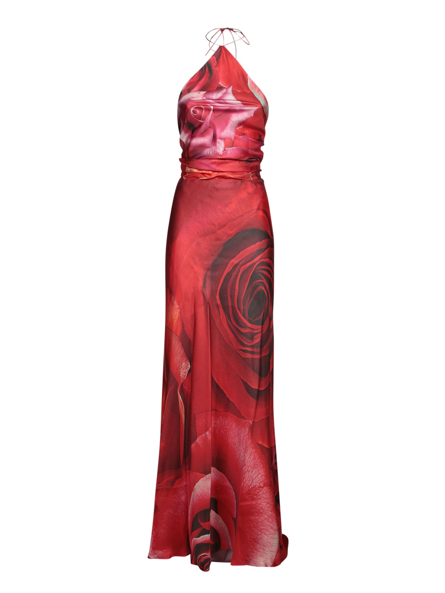 Roberto Cavalli Garden Rose-print Maxi Dress