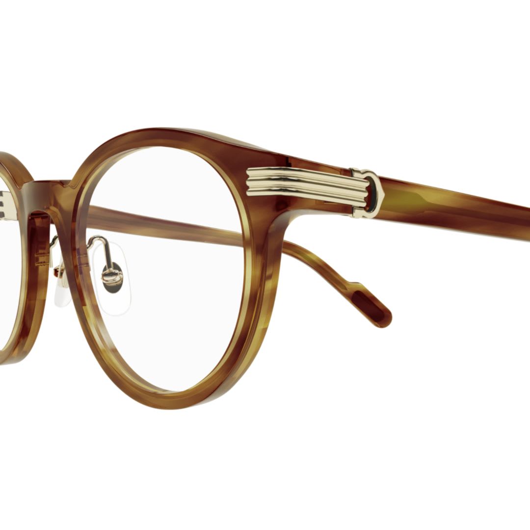 Cartier Eyewear Ct0312o004 Havana Havana Transpa