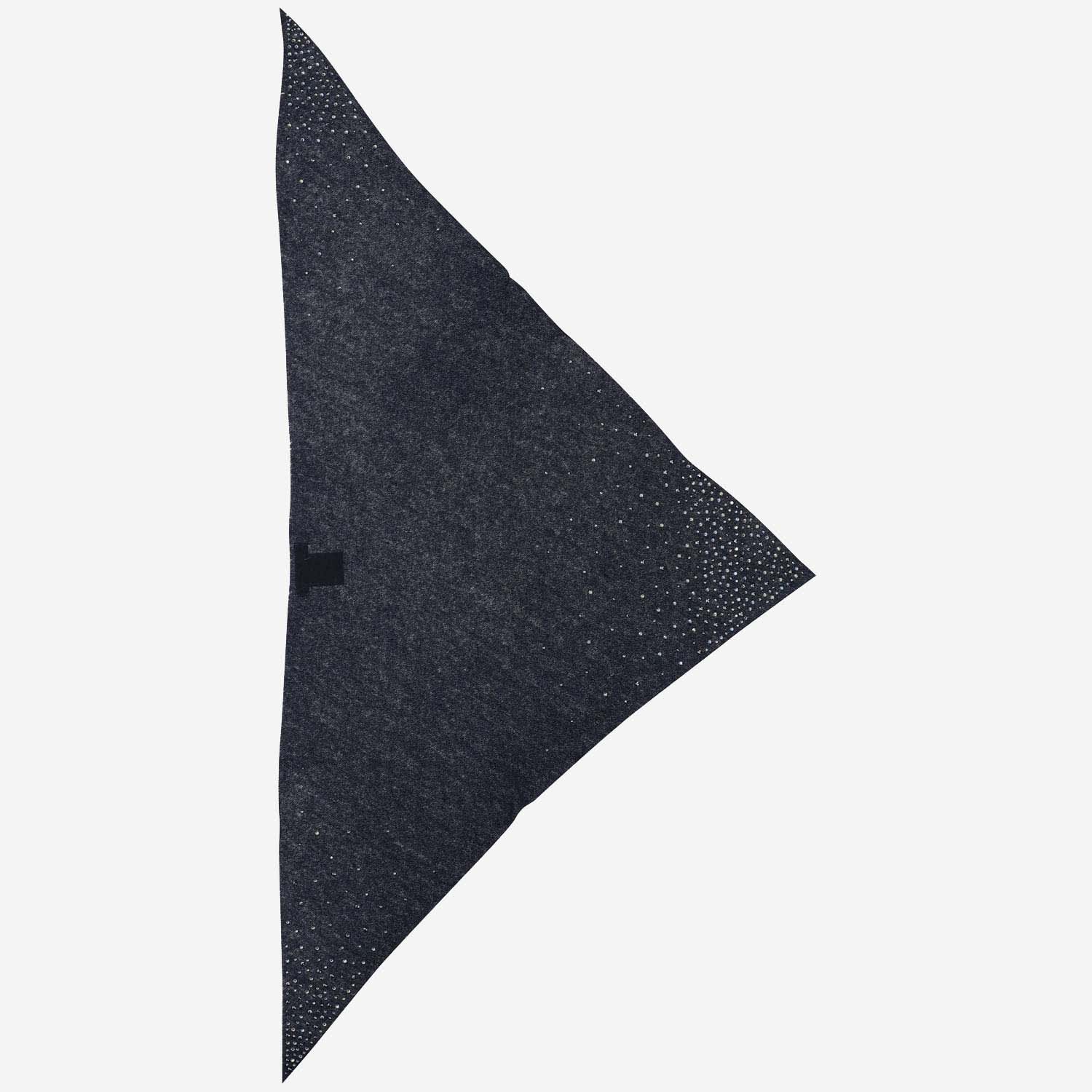 Faliero Sarti Cashmere Scarf With Swarovsky