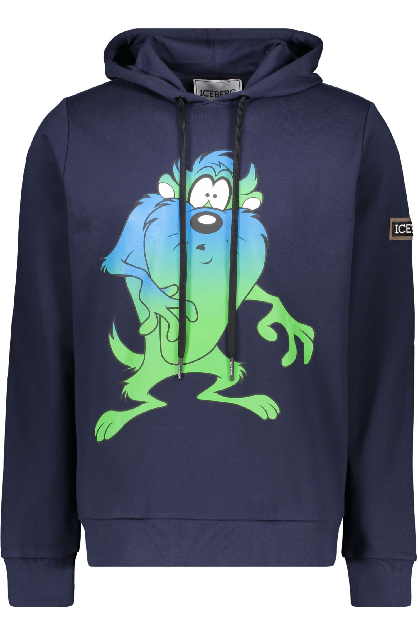 Iceberg Printed Hoodie