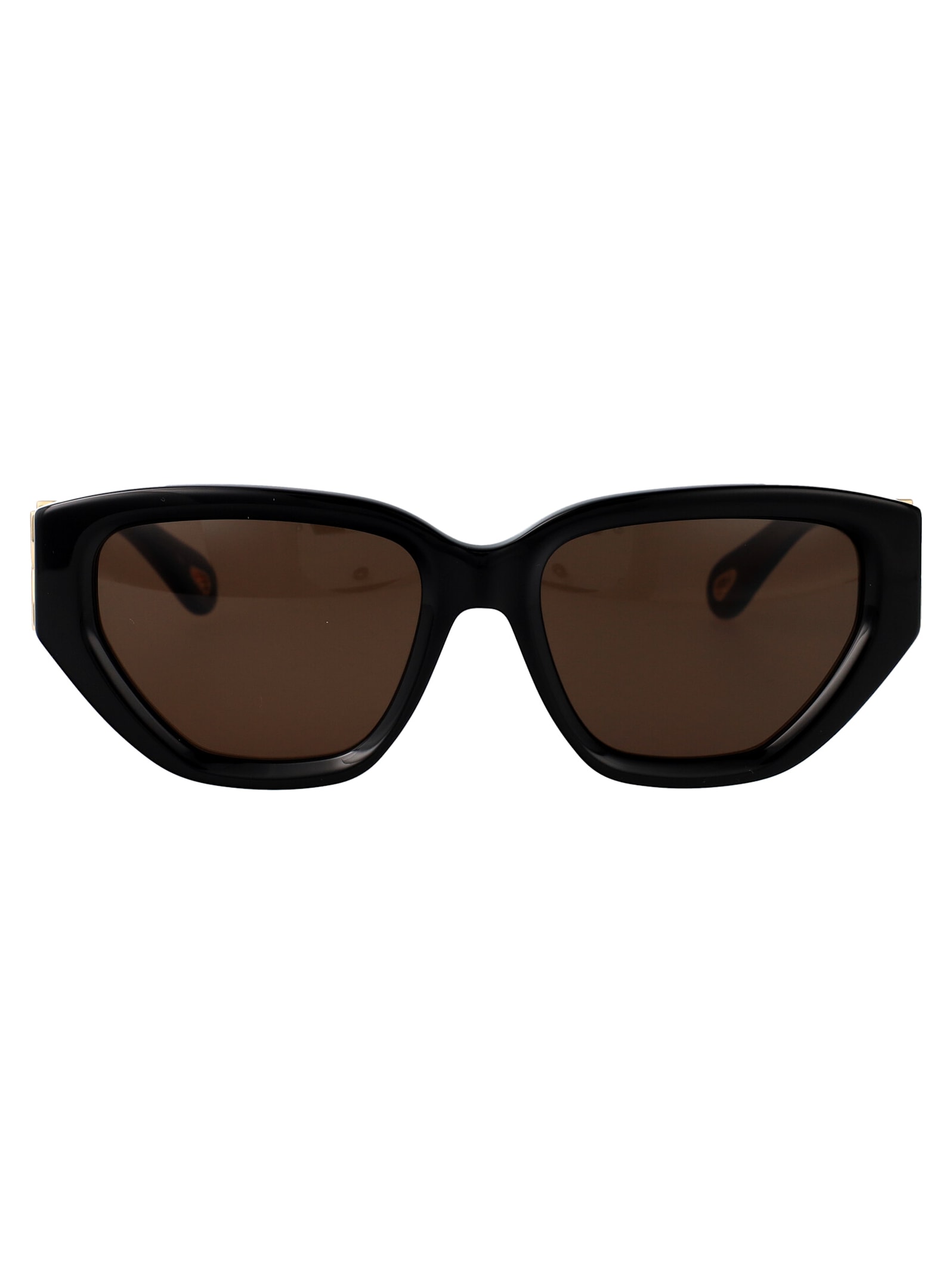 Chloé Eyewear Ch0235s Sunglasses