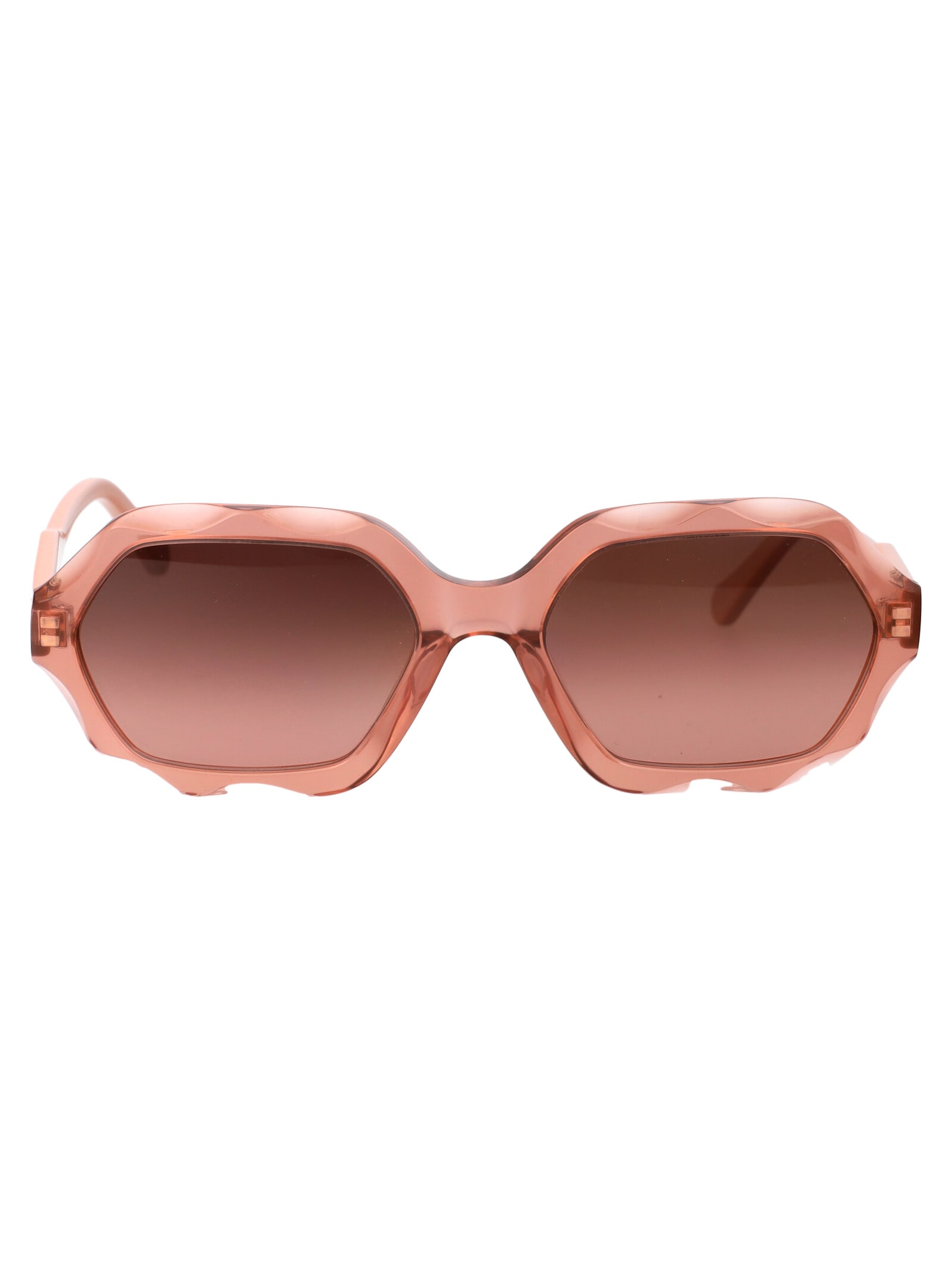 Chloé Eyewear Ch0227s Sunglasses