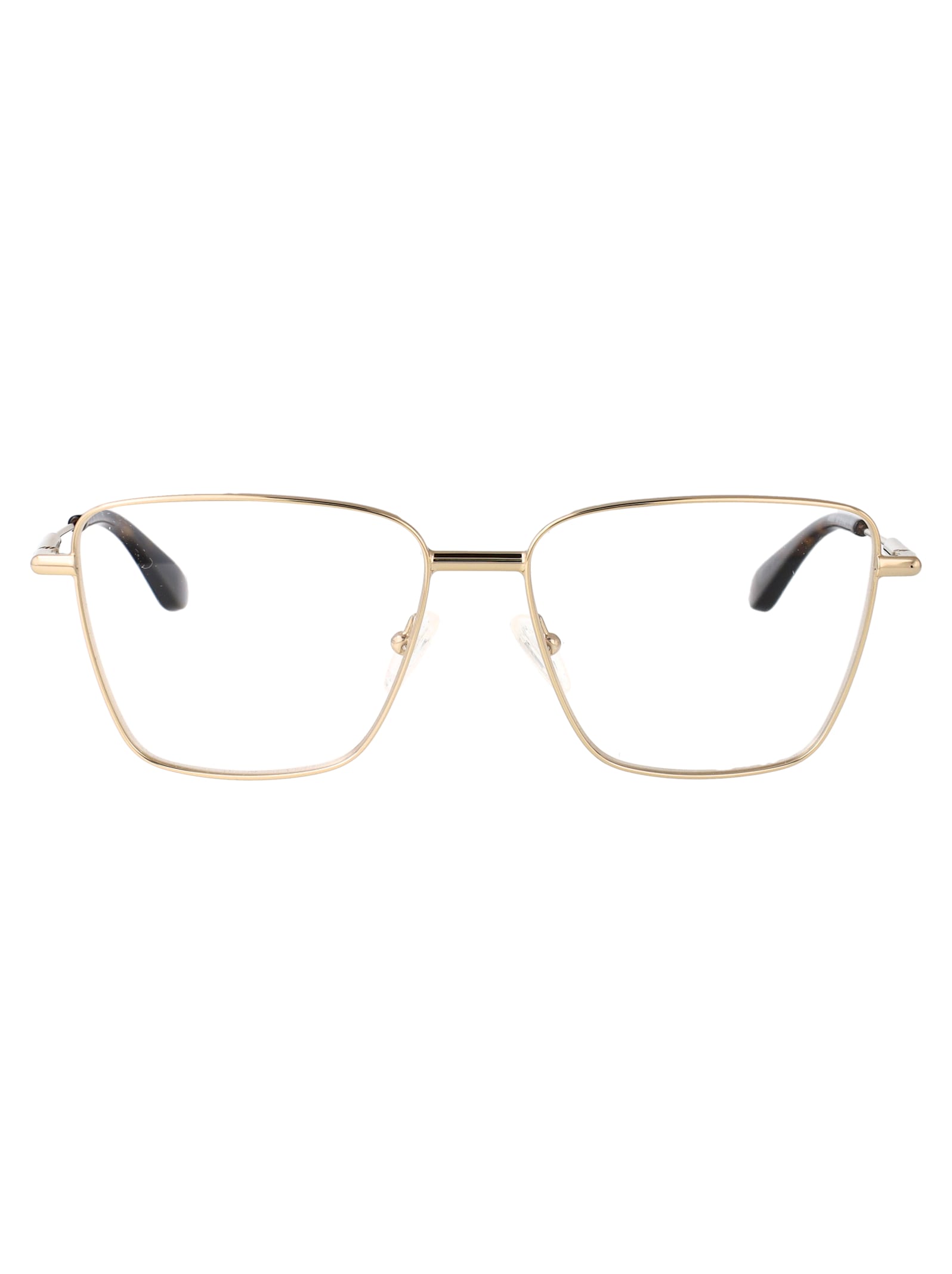 Alexander McQueen Eyewear Am0503o Glasses