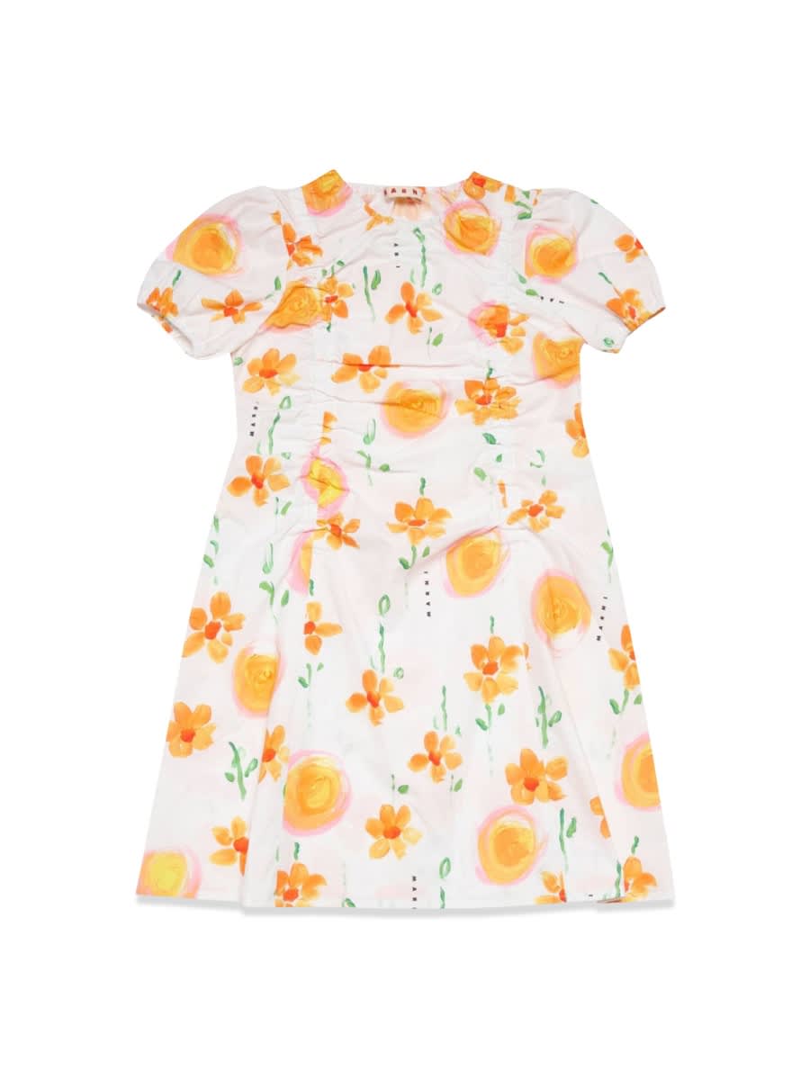 Marni Dress