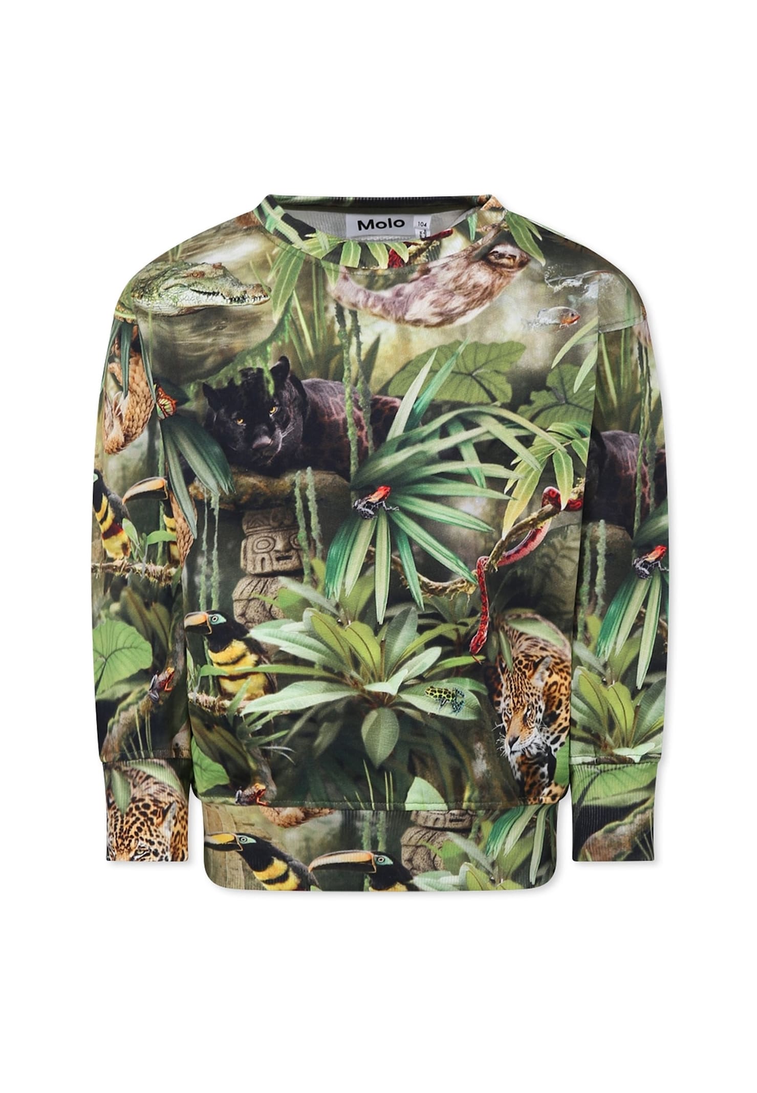 Molo Green Sweatshirt For Boy With Jungle Animal