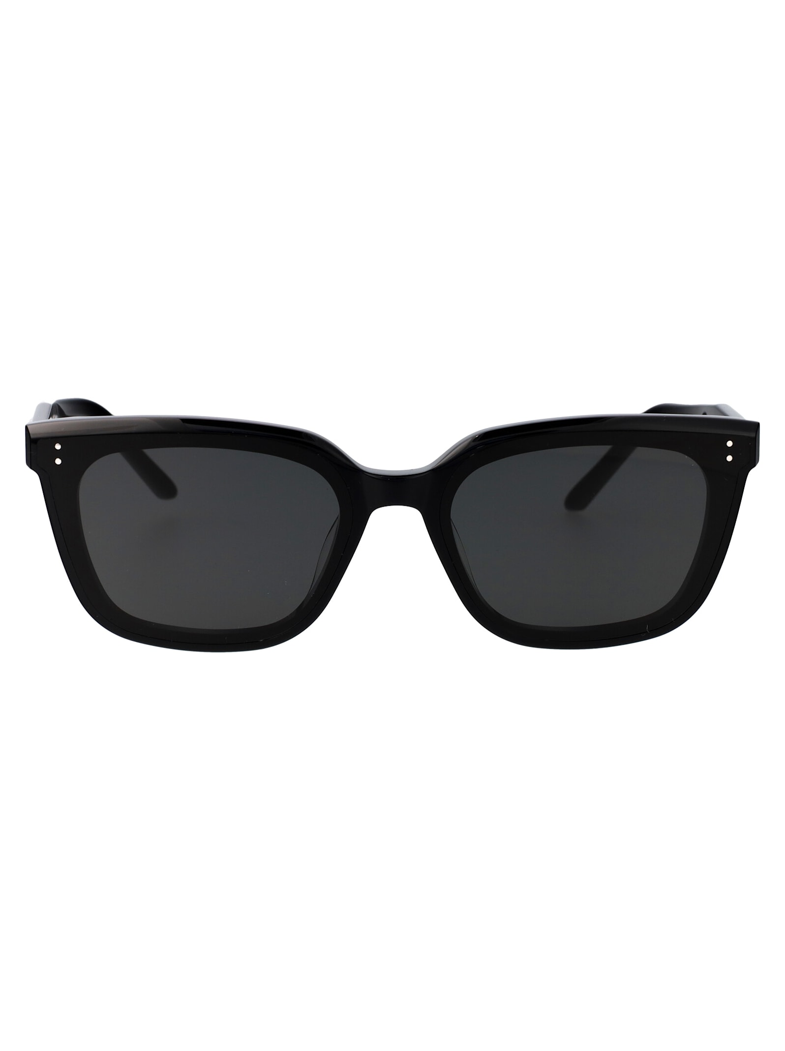 Gentle Monster Tote Sunglasses