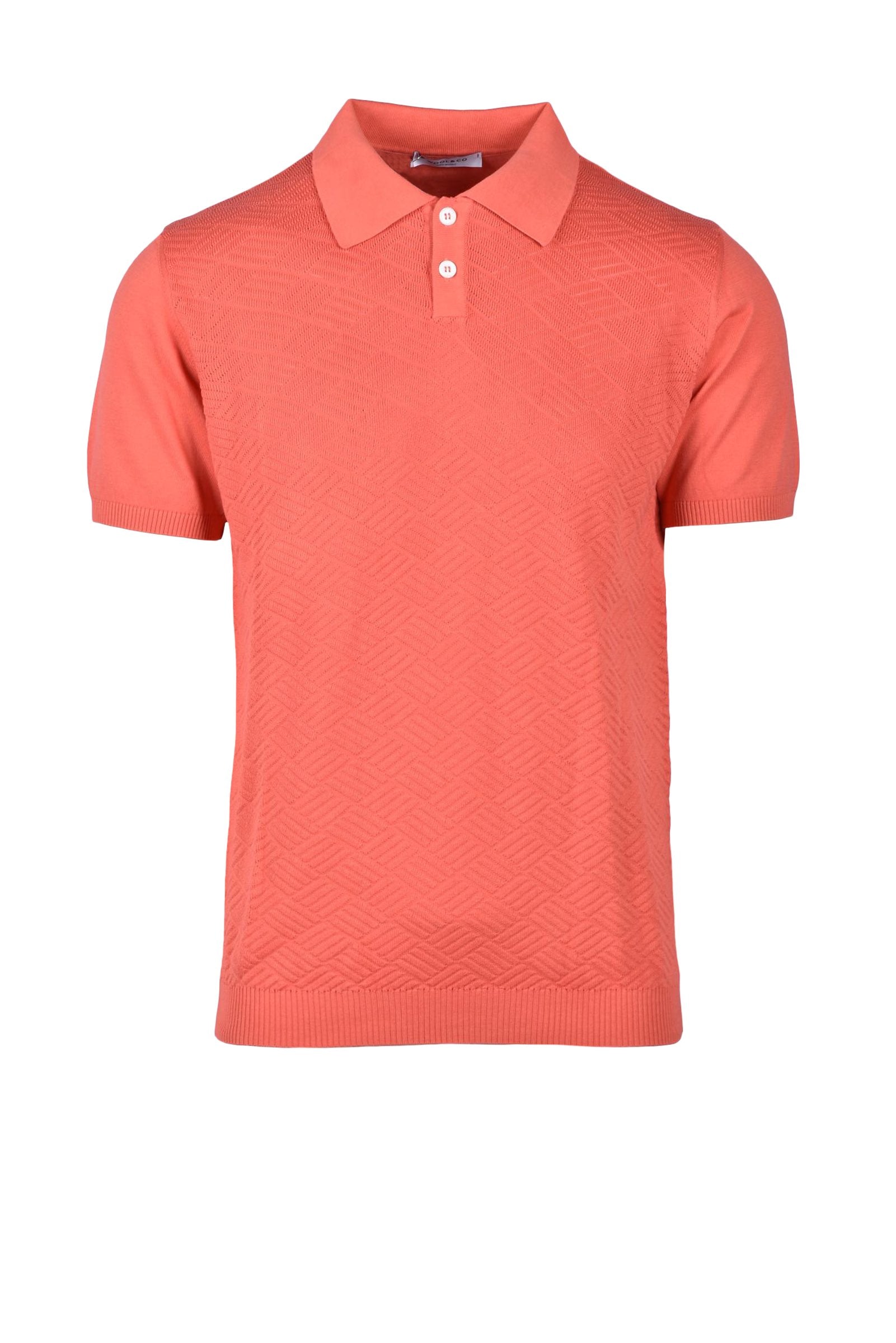 羊毛与Co Polo Basic